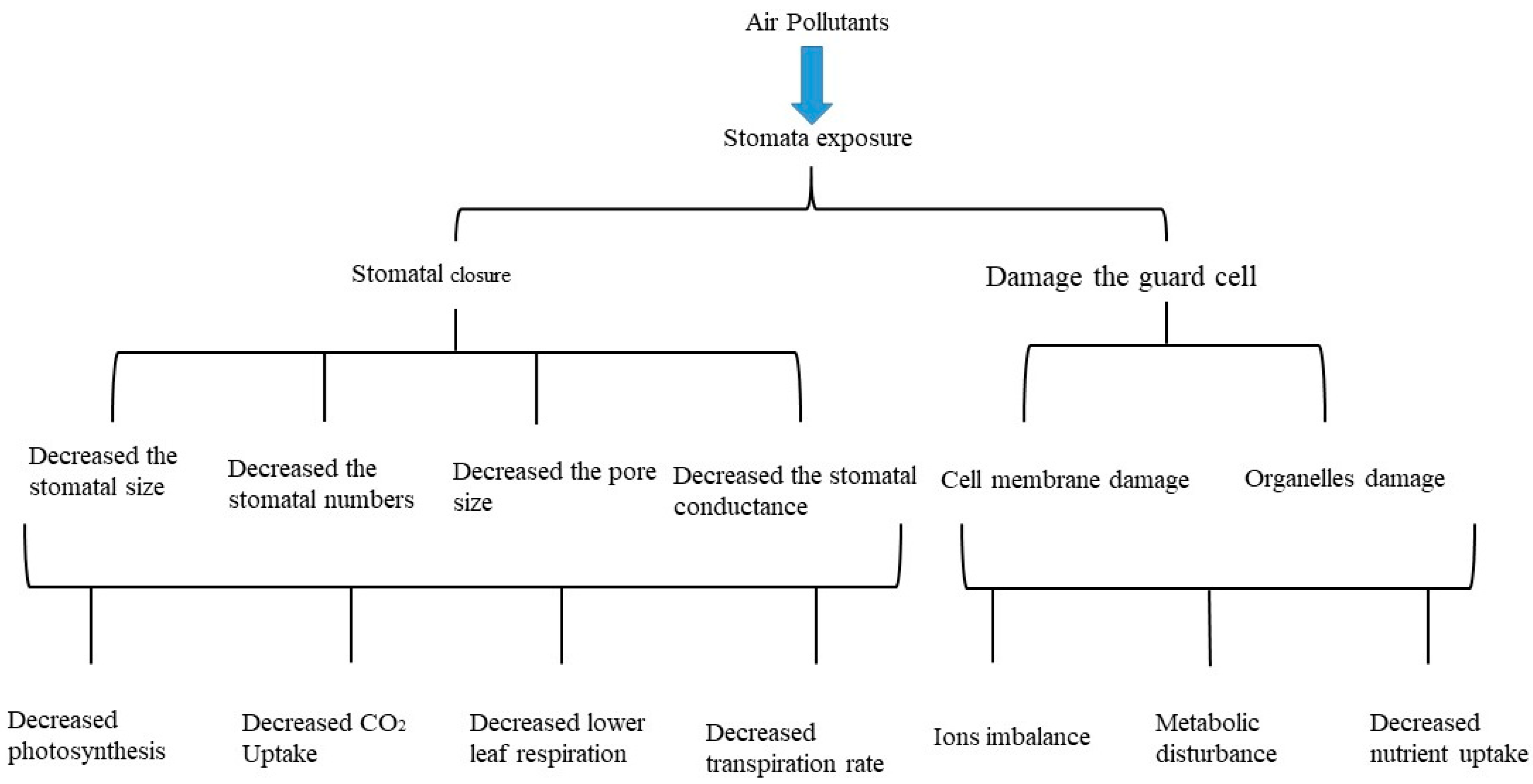 Sustainability 16 03427 g003