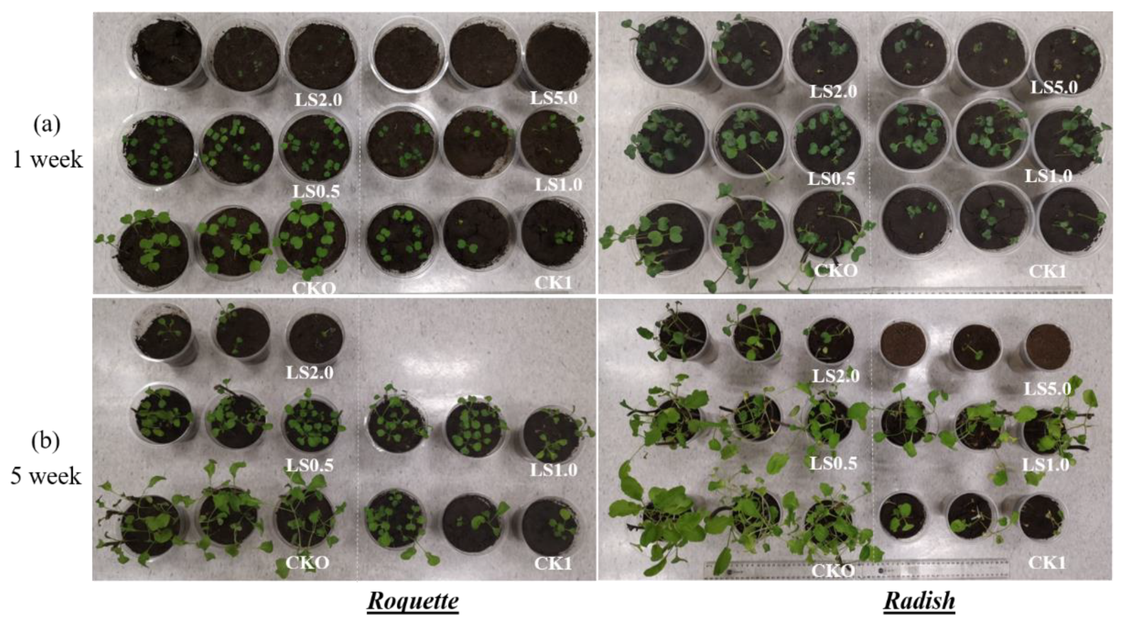 Sustainability 16 03428 g005