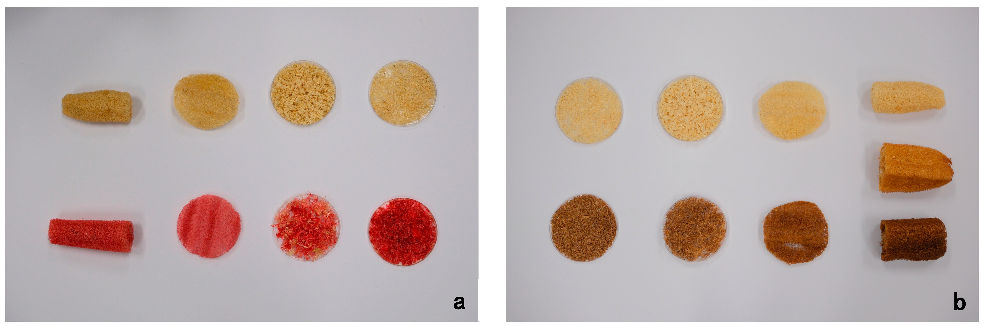 Sustainability 16 03490 g005