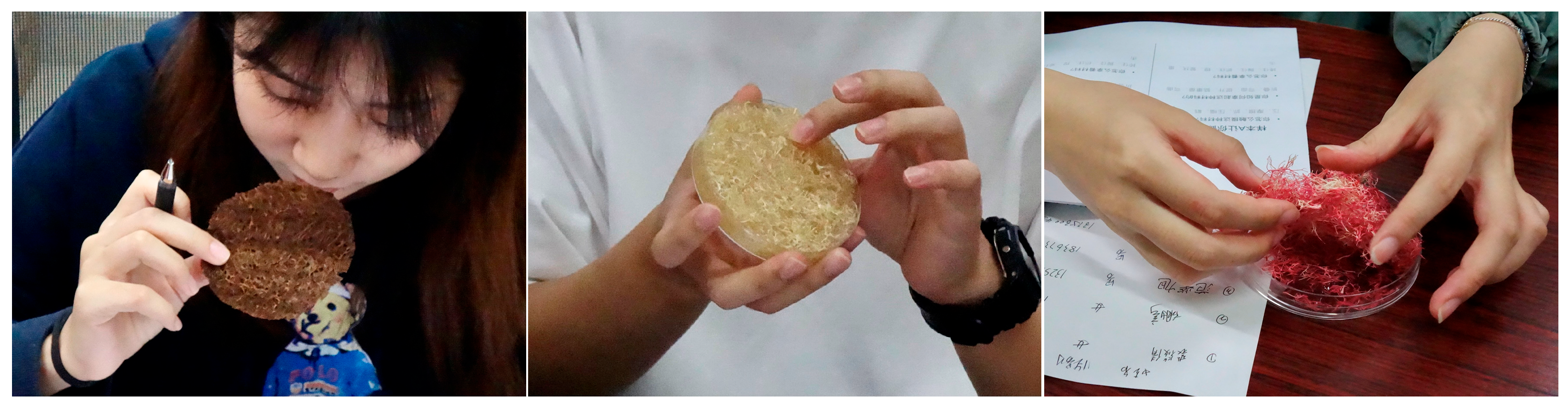 Sustainability 16 03490 g007