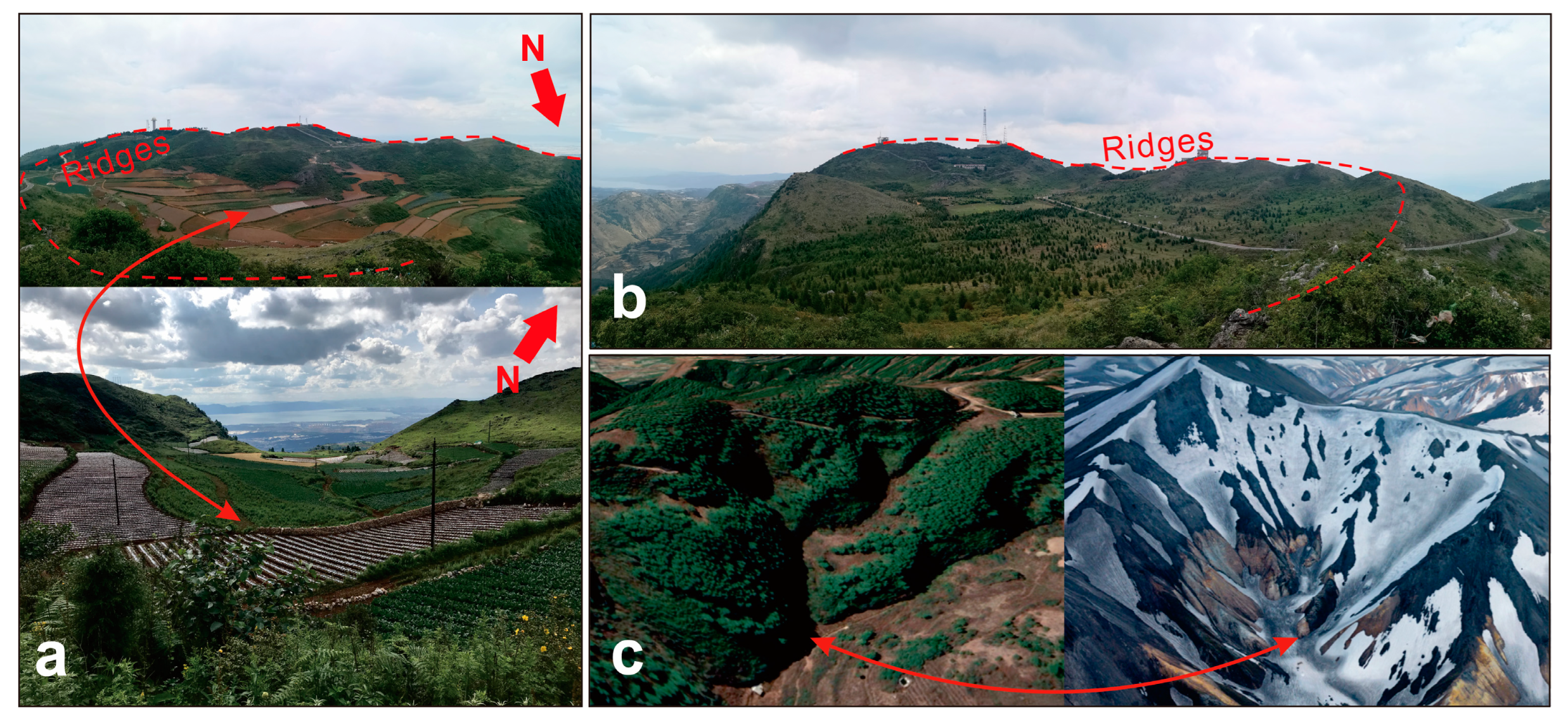Sustainability 16 03492 g003