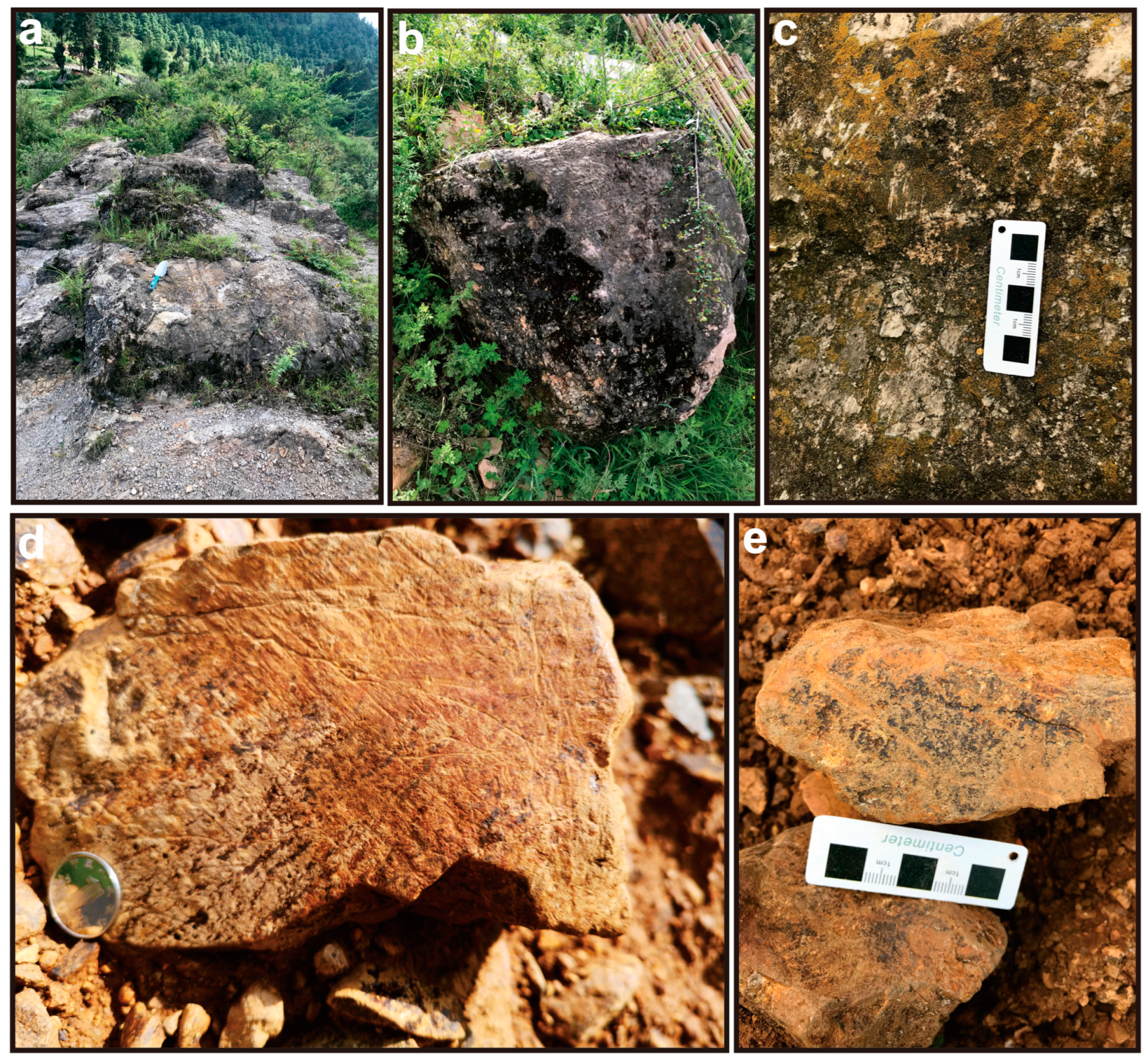 Sustainability 16 03492 g005