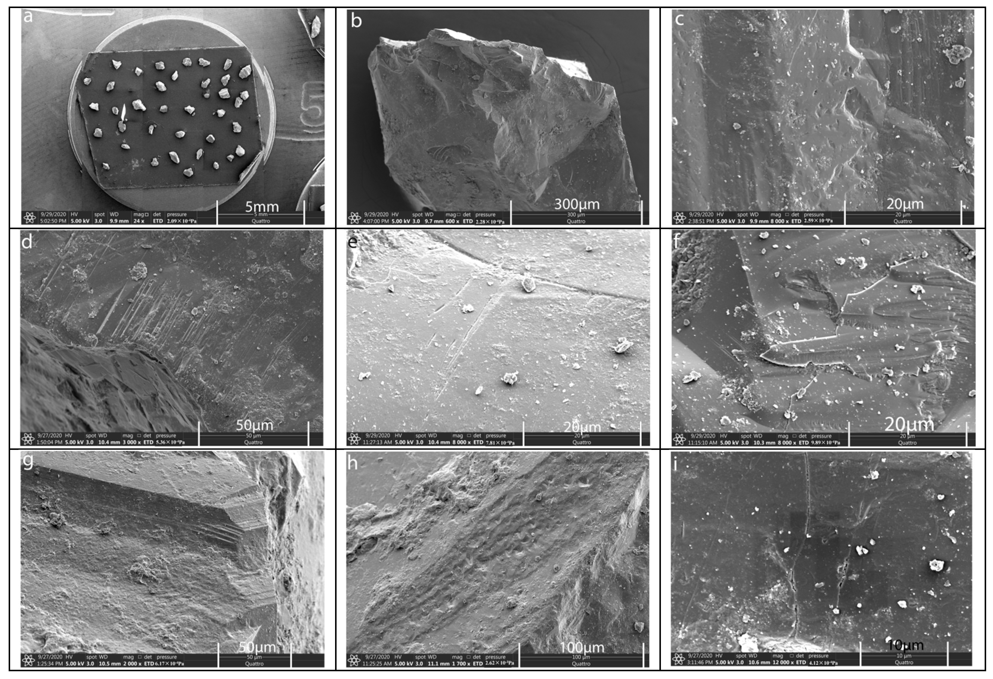 Sustainability 16 03492 g006