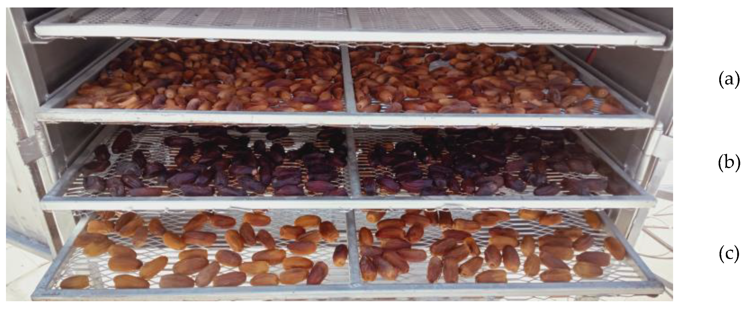 Sustainability 16 03506 g001