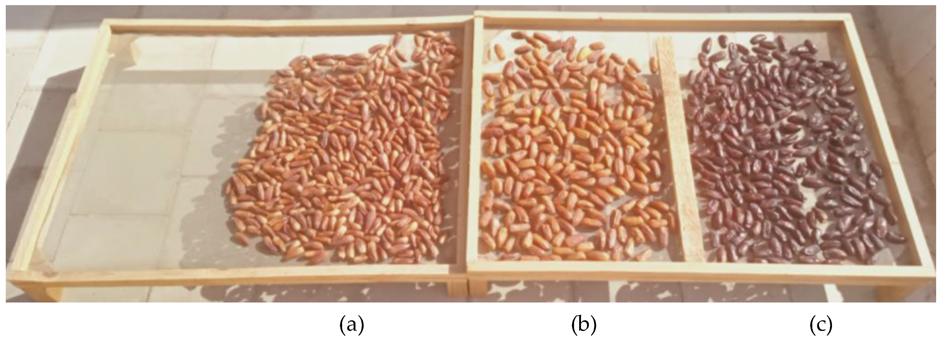 Sustainability 16 03506 g002