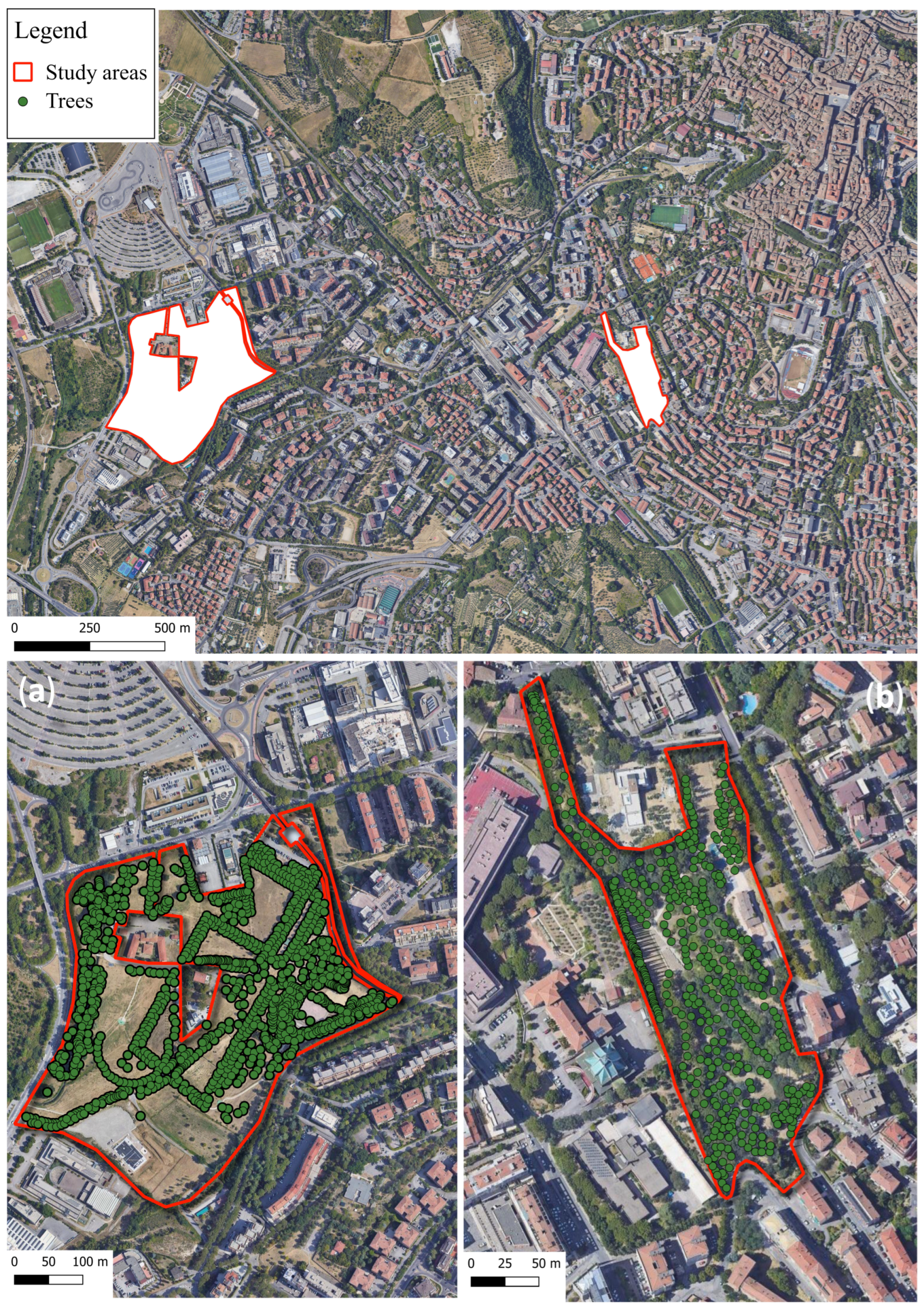 Sustainability 16 03515 g001