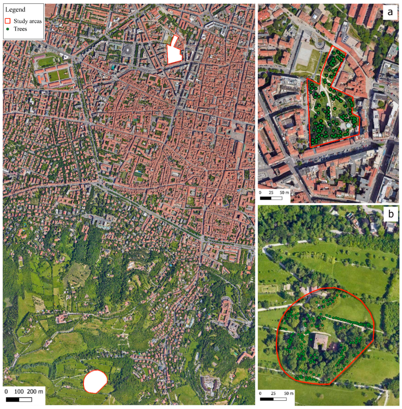 Sustainability 16 03515 g002