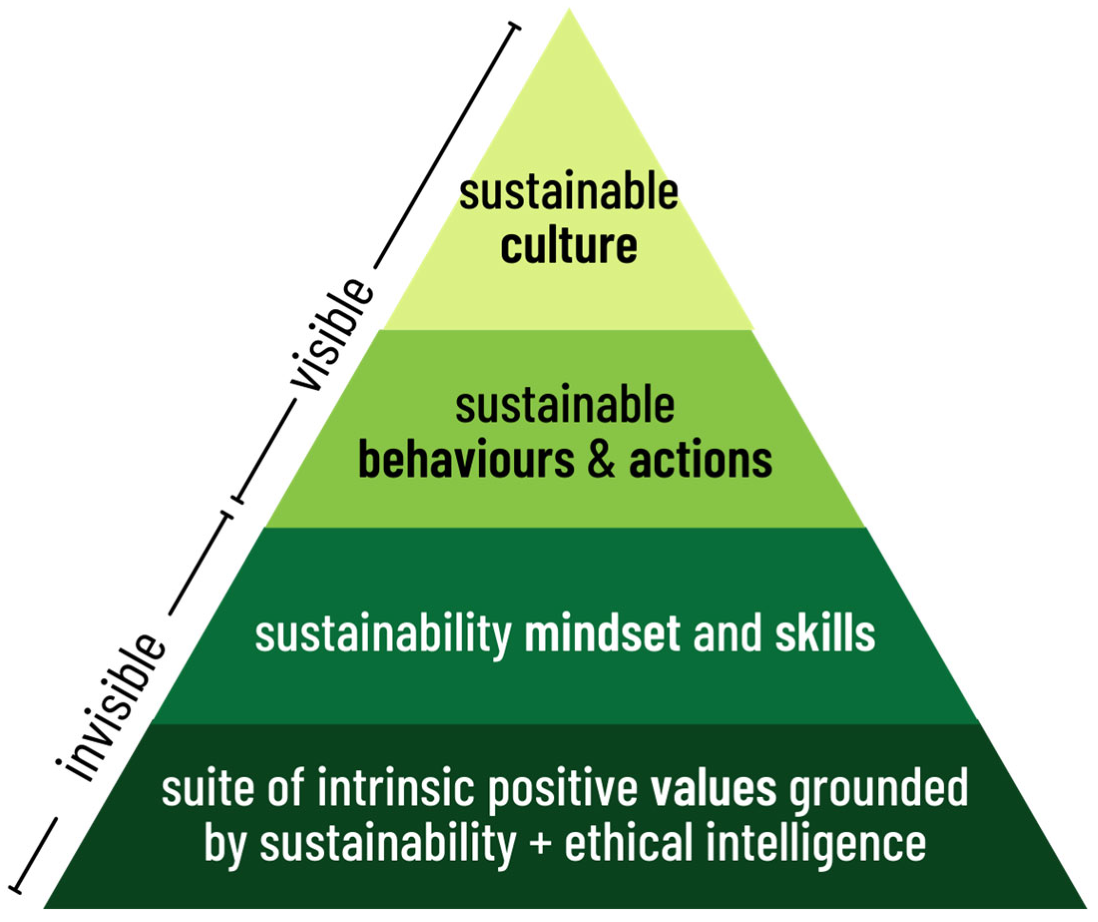 Sustainability 16 03562 g001