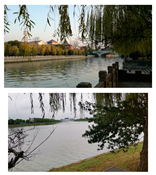 Sustainability 16 03602 i002