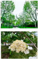 Sustainability 16 03602 i008