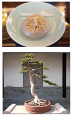 Sustainability 16 03602 i010