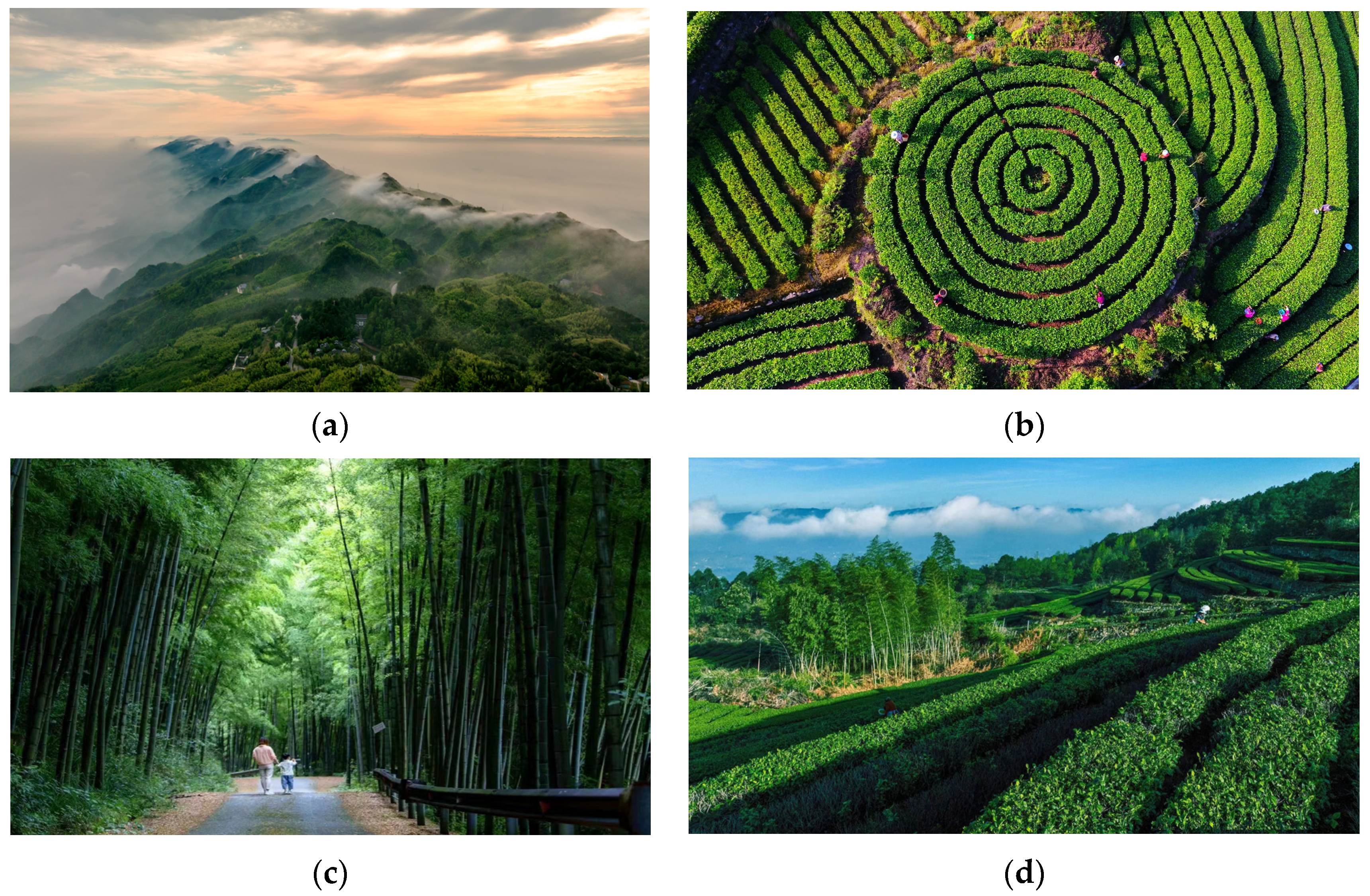 Sustainability 16 03609 g002