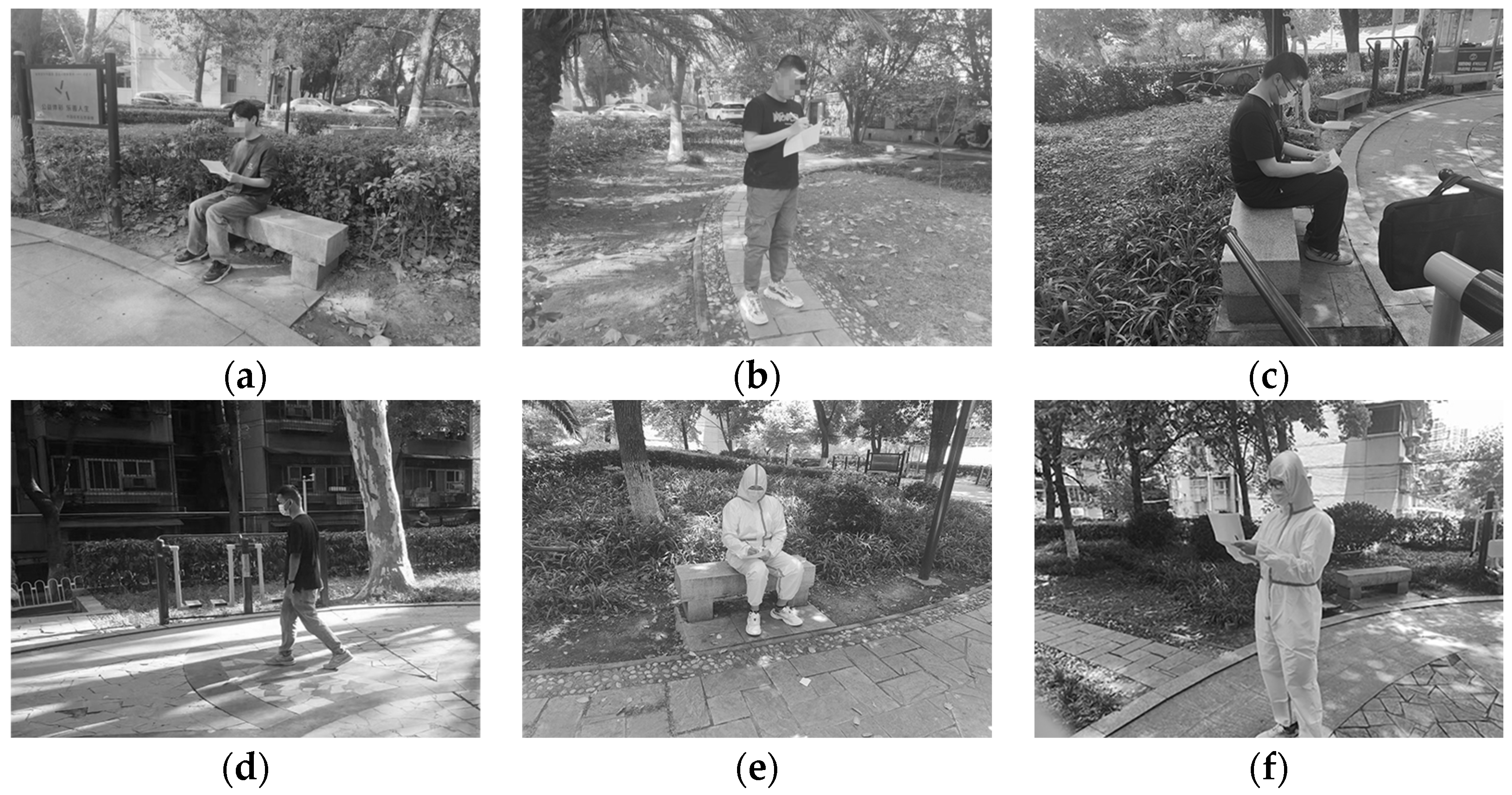 Sustainability 16 03628 g004