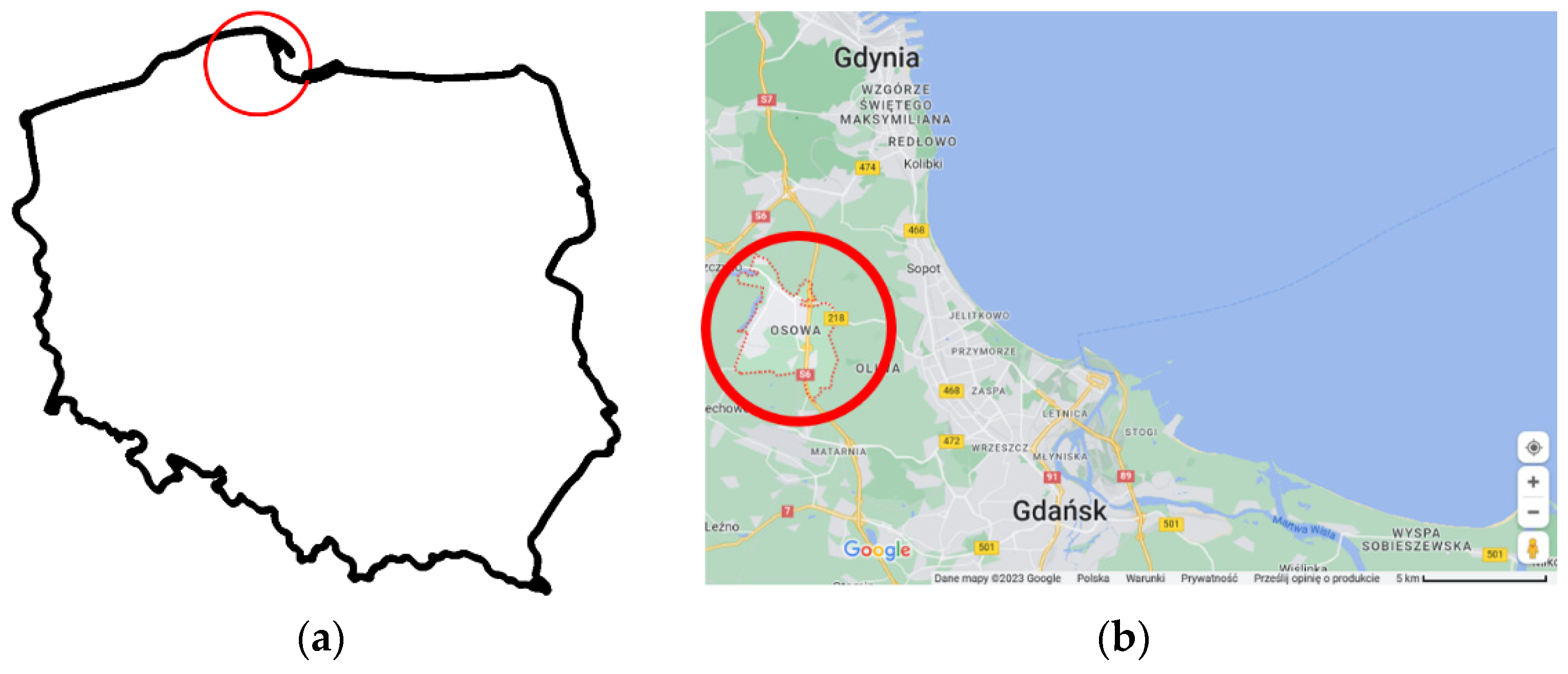 Sustainability 16 03652 g001