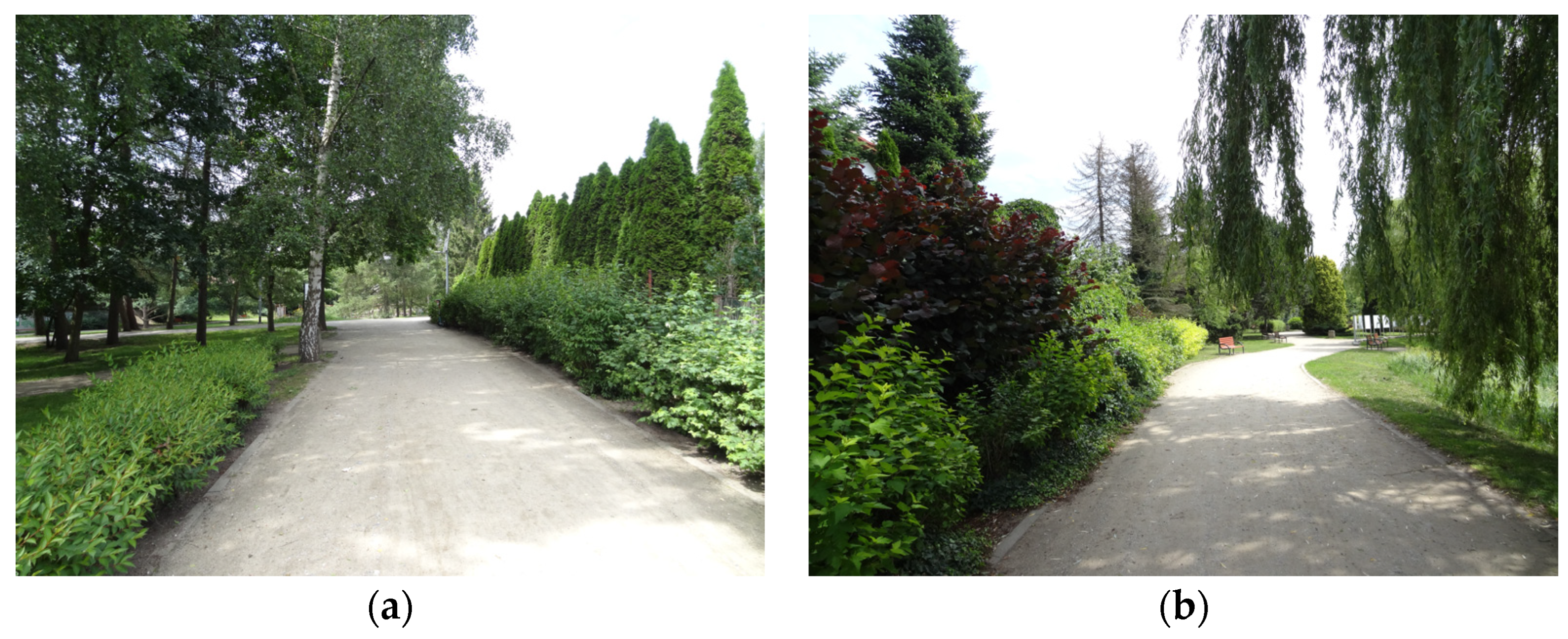 Sustainability 16 03652 g008