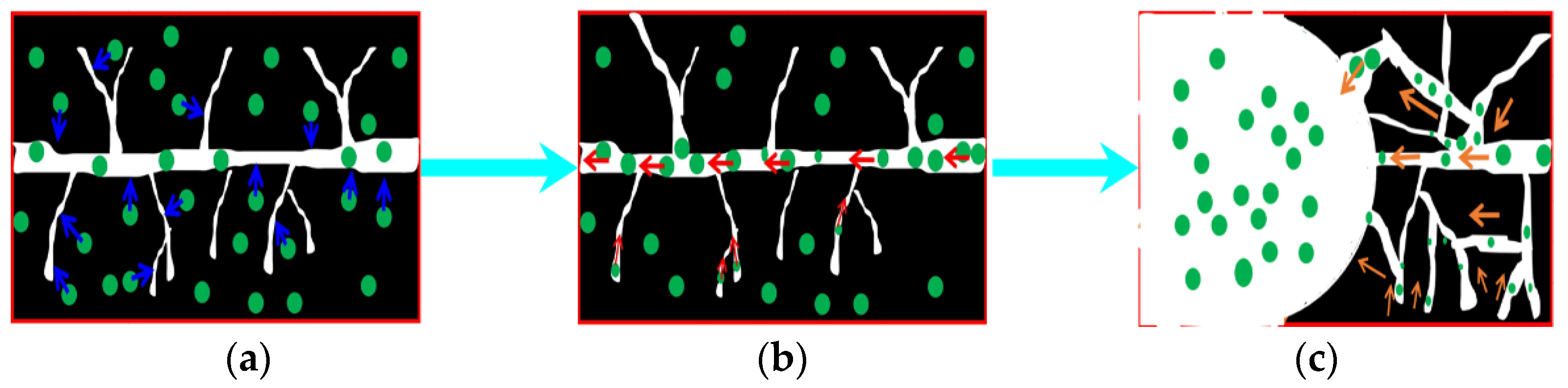 Numerical Multifield Coupling Model of Stress Evolution and Gas ...