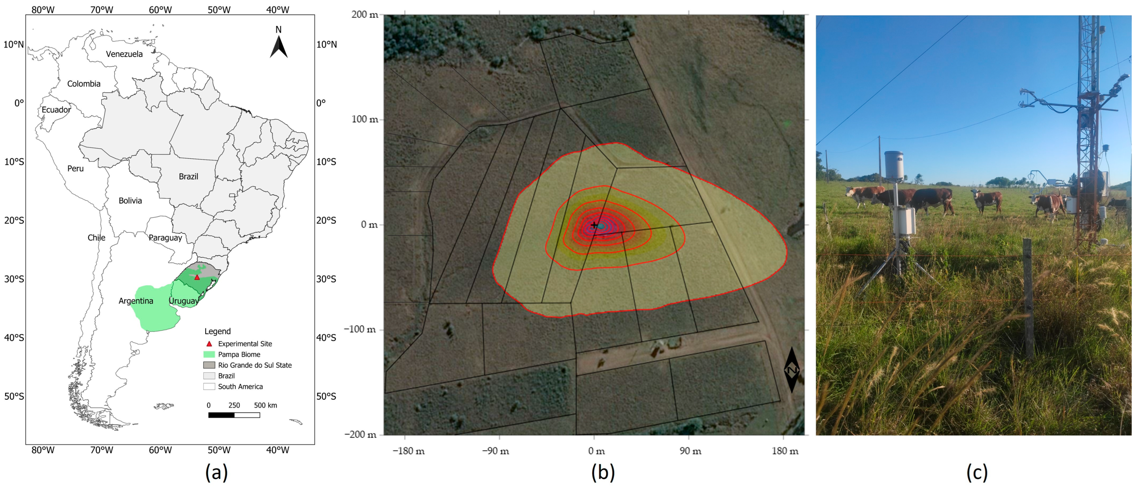 Sustainability 16 03672 g001