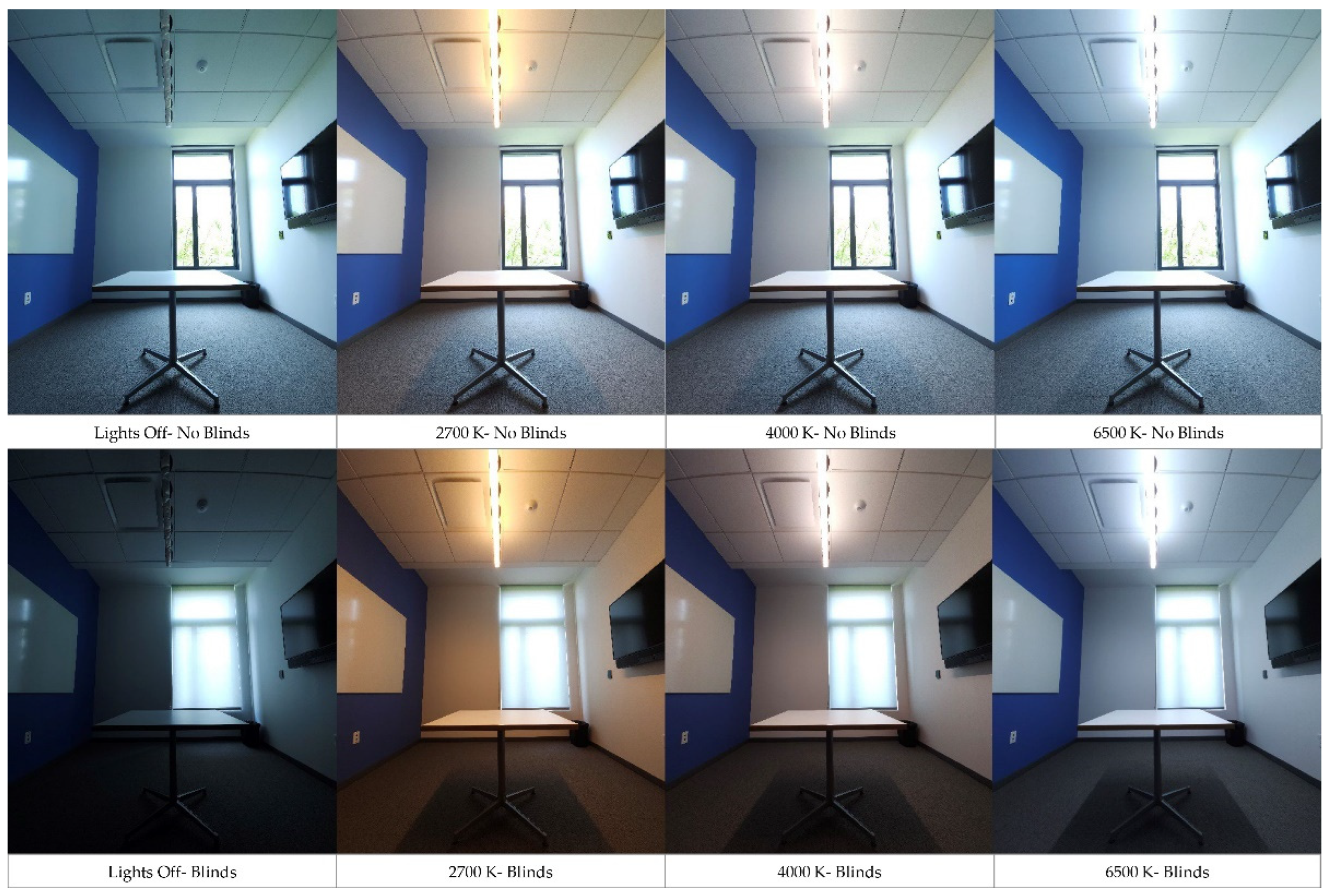 Sustainability 16 03691 g001