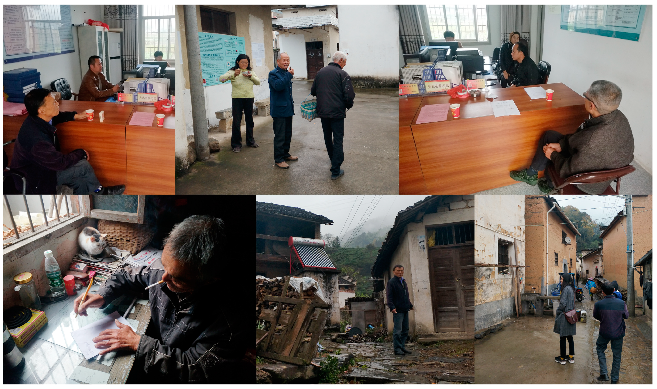 Sustainability 16 03756 g002