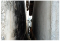 Sustainability 16 03756 i013 Sustainability 16 03756 i013