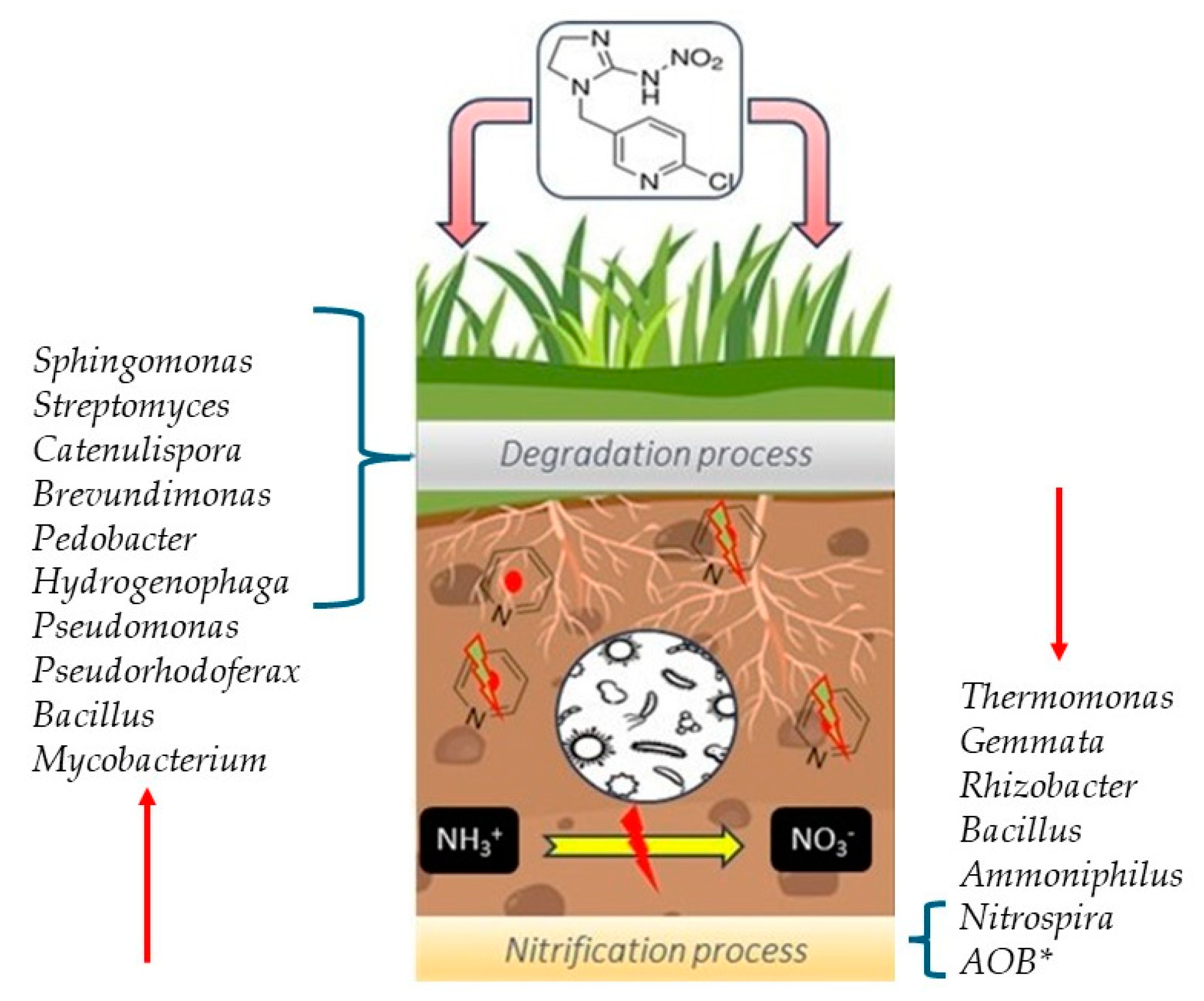 Sustainability 16 03769 g002