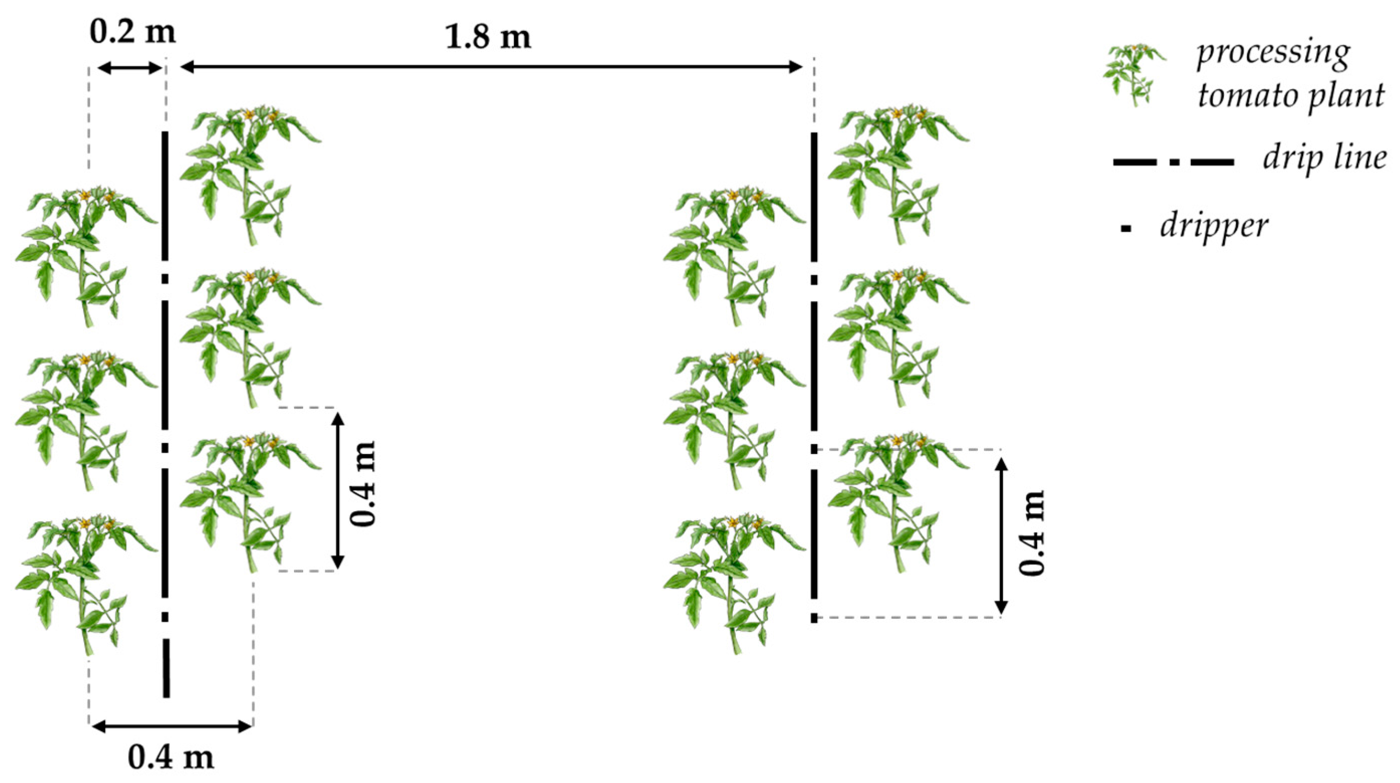 Sustainability 16 03798 g001