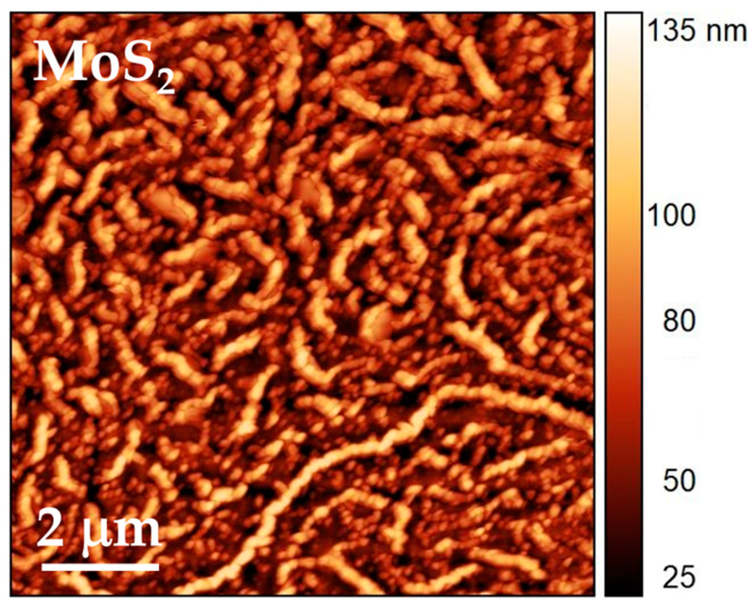 Sustainability 16 03819 g006