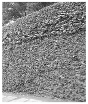 Sustainability 16 03849 i012