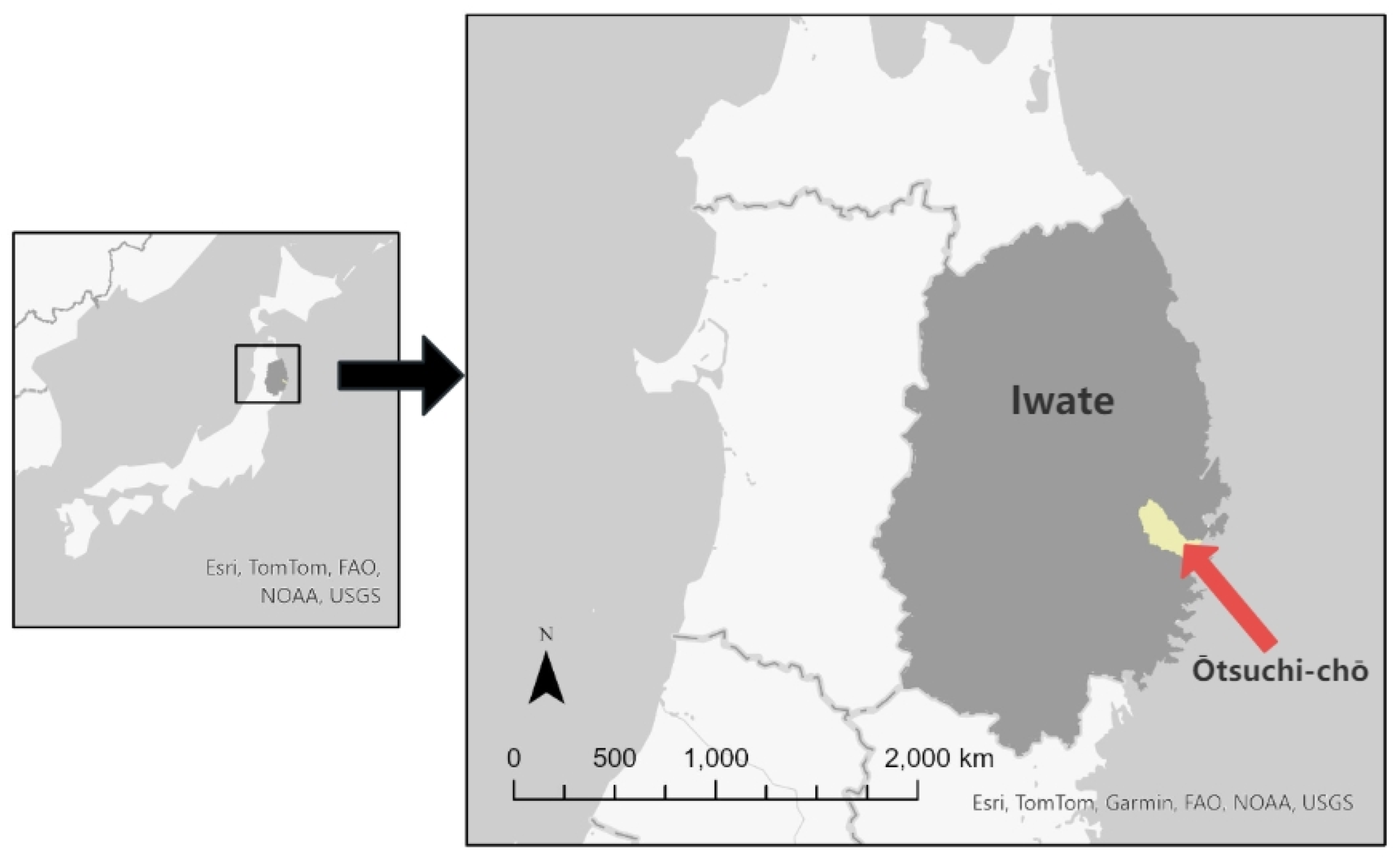 Sustainability 16 03907 g001