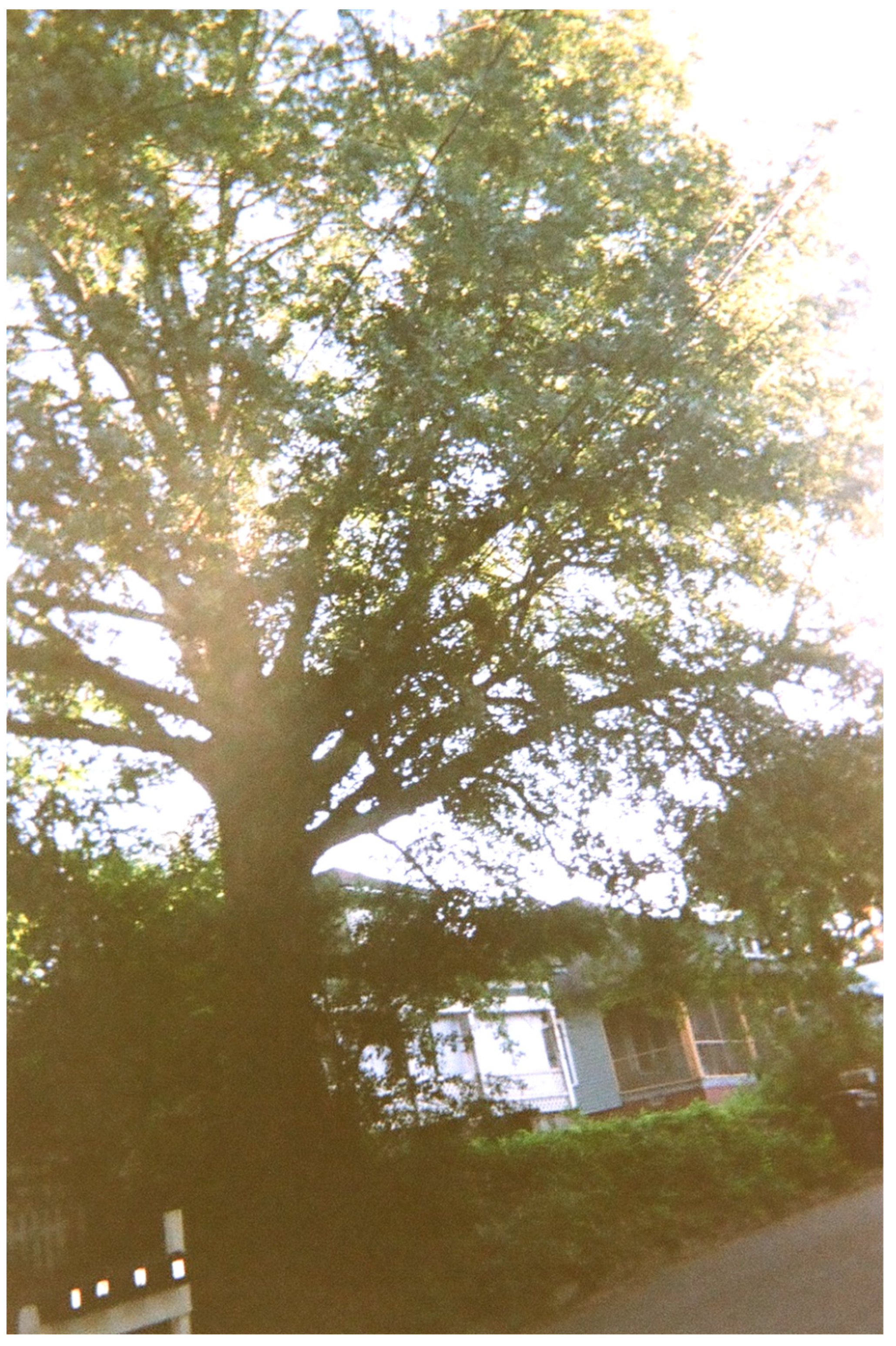 Sustainability 16 03913 g006