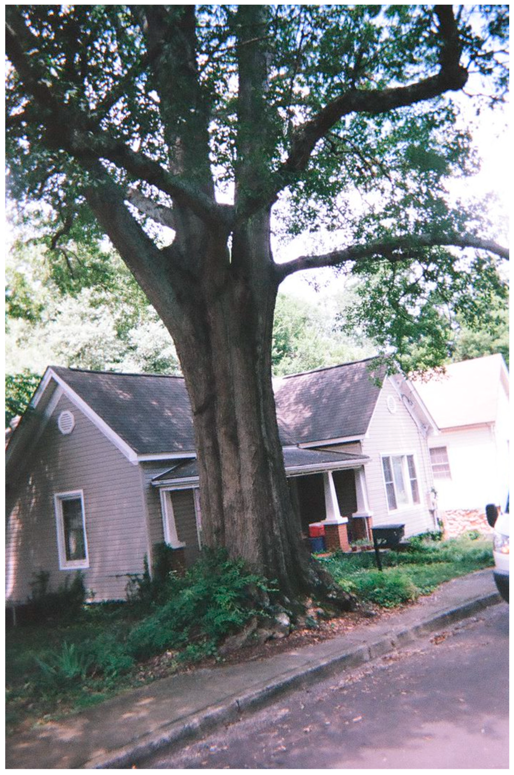 Sustainability 16 03913 g008