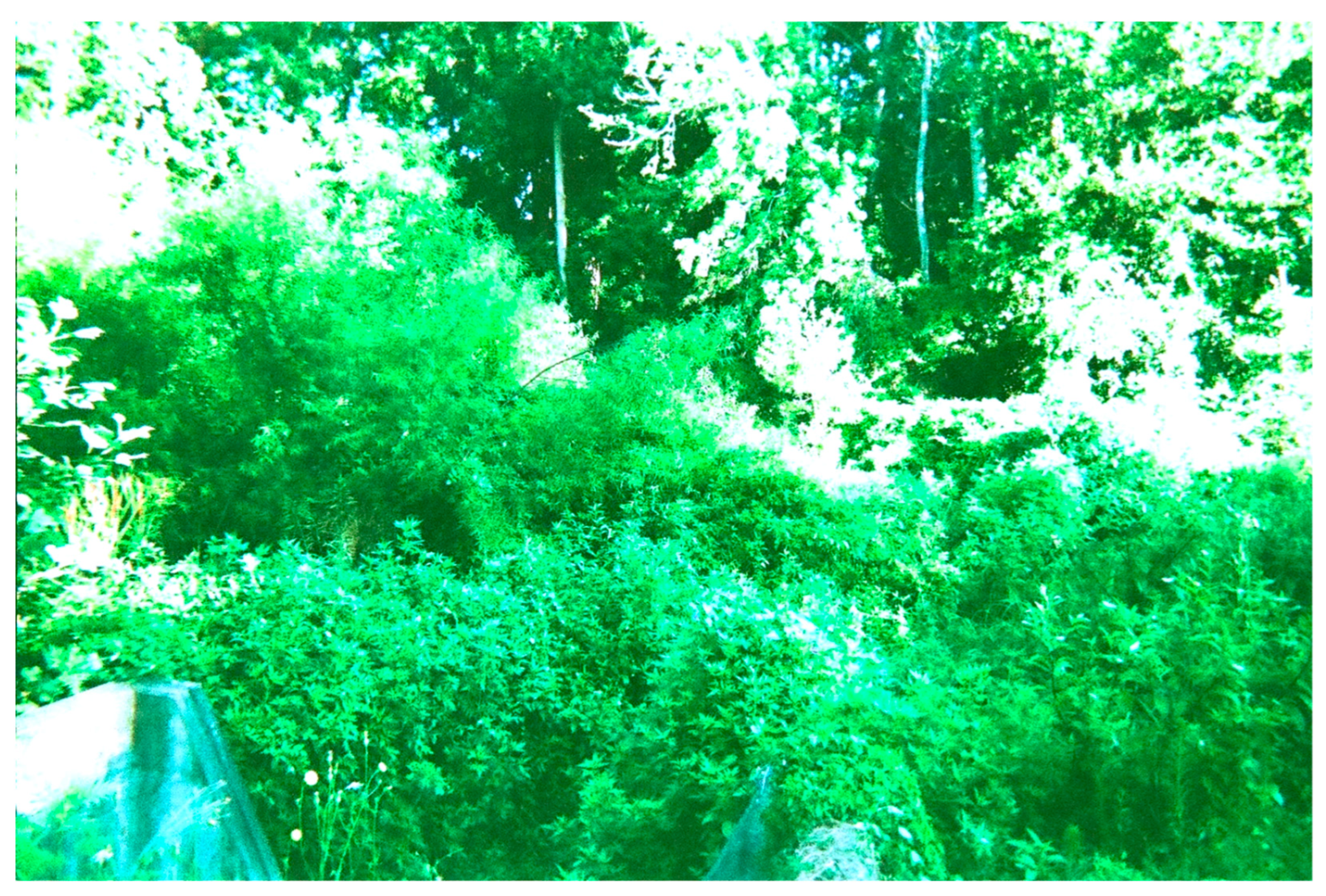 Sustainability 16 03913 g009