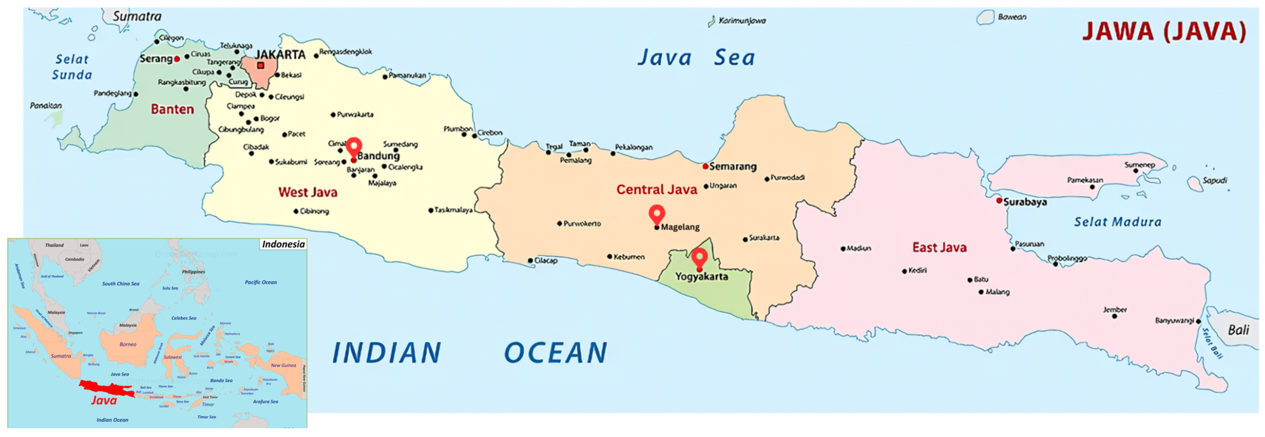 Sustainability 16 03921 g001