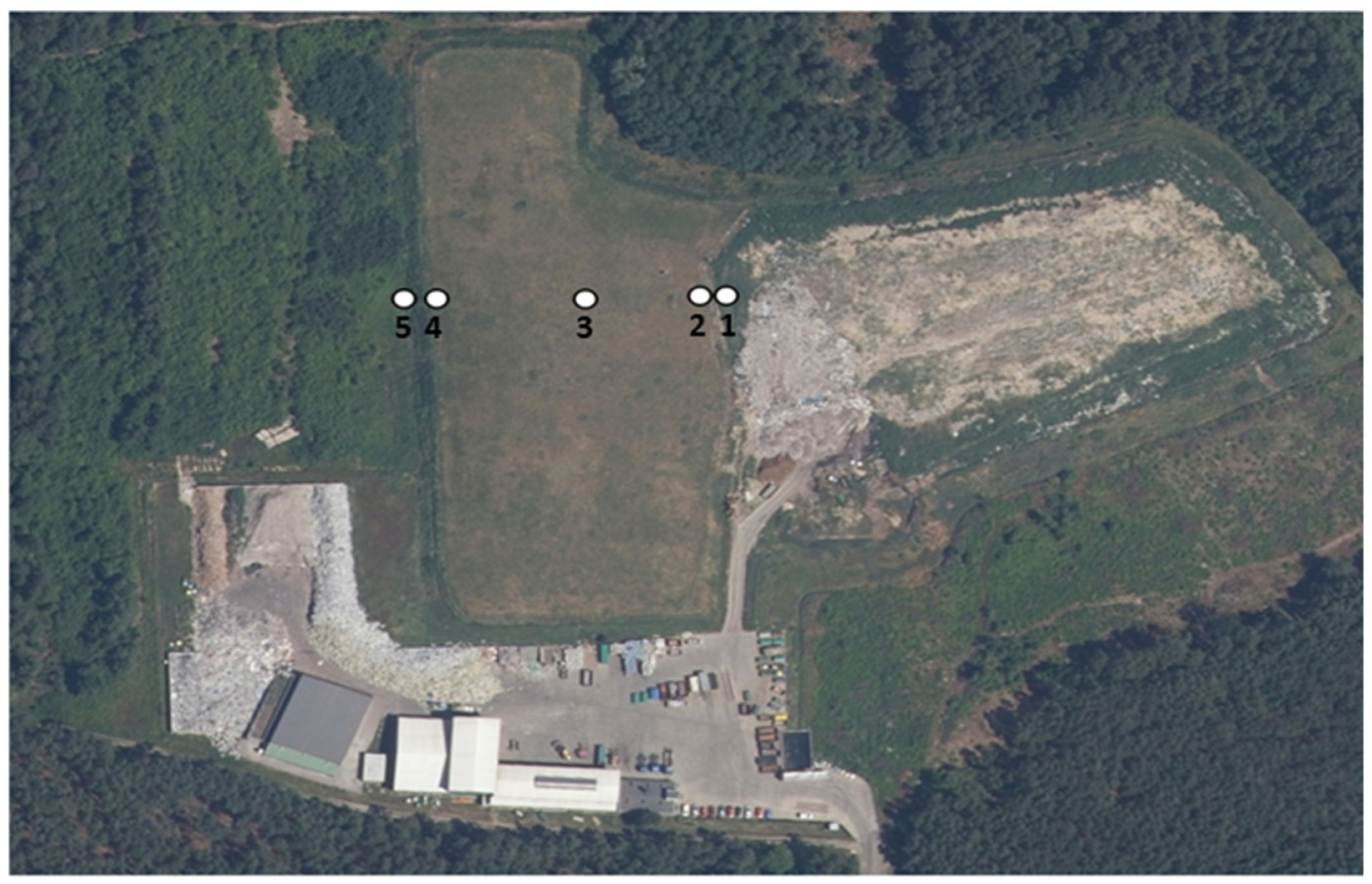 Sustainability 16 03936 g001