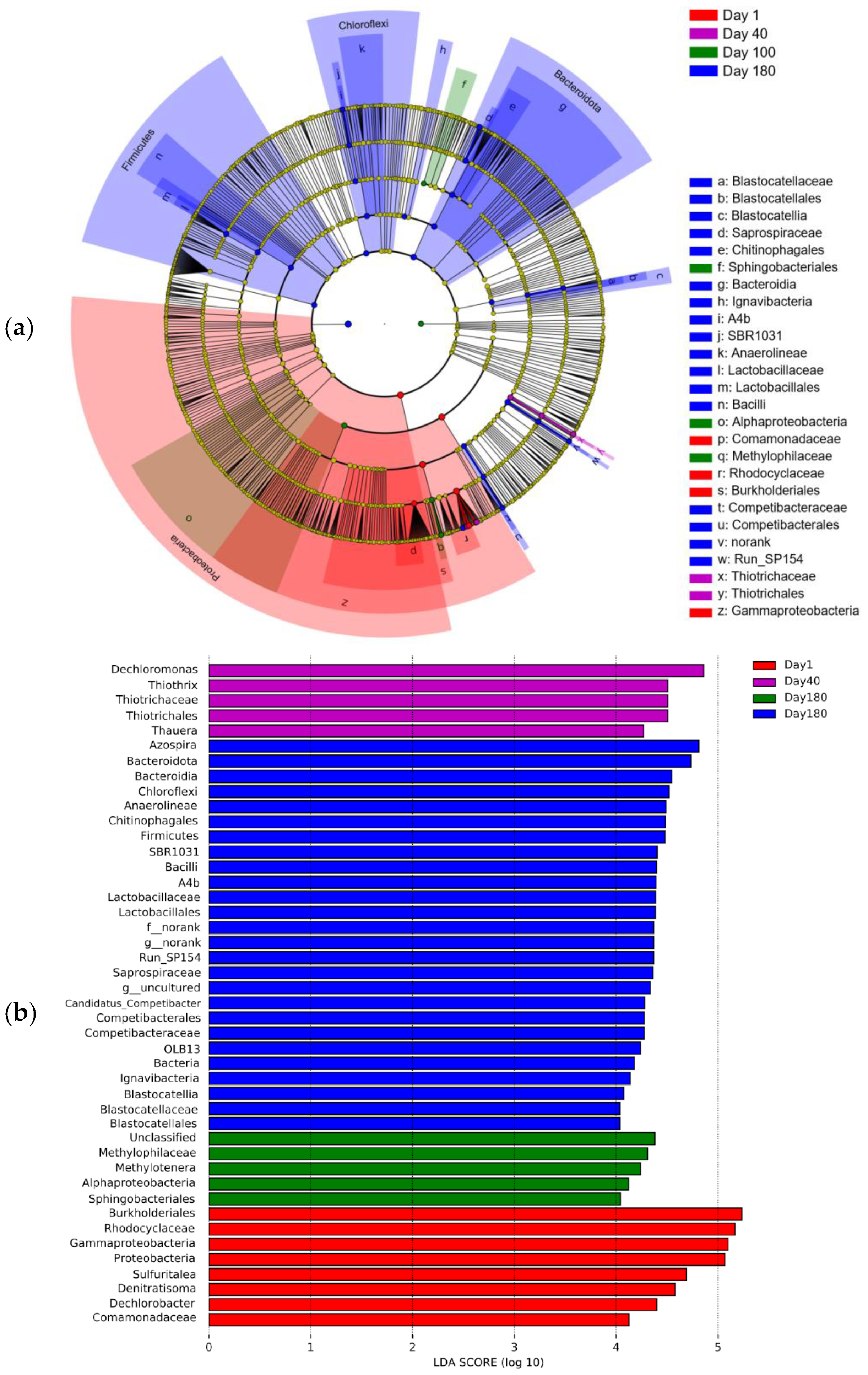Sustainability 16 03993 g010