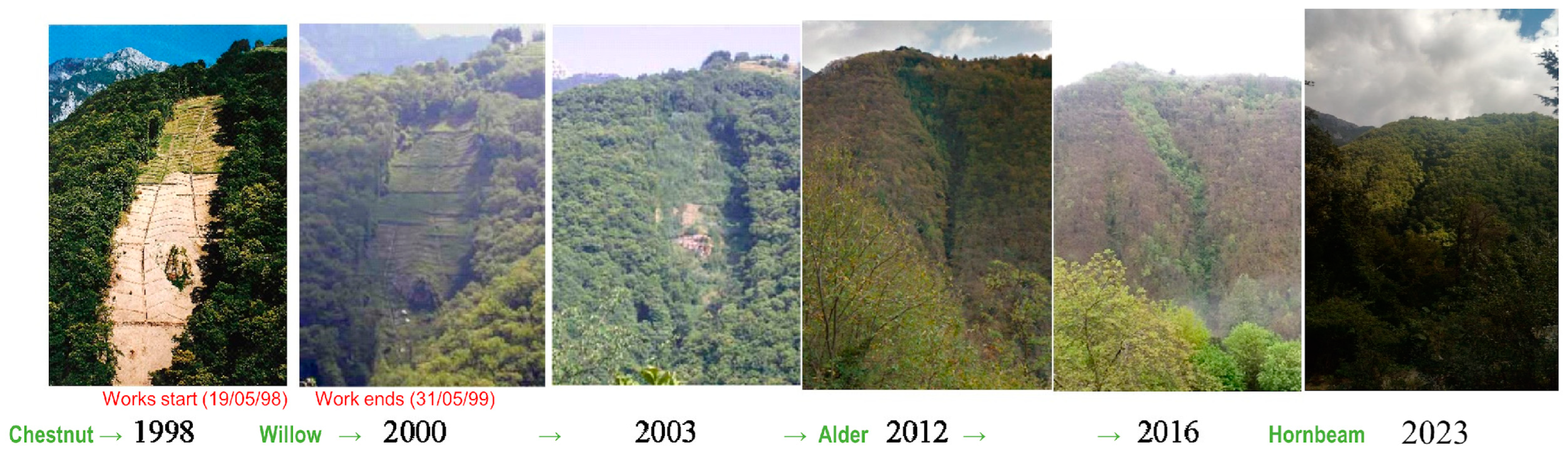 Sustainability 16 04022 g003