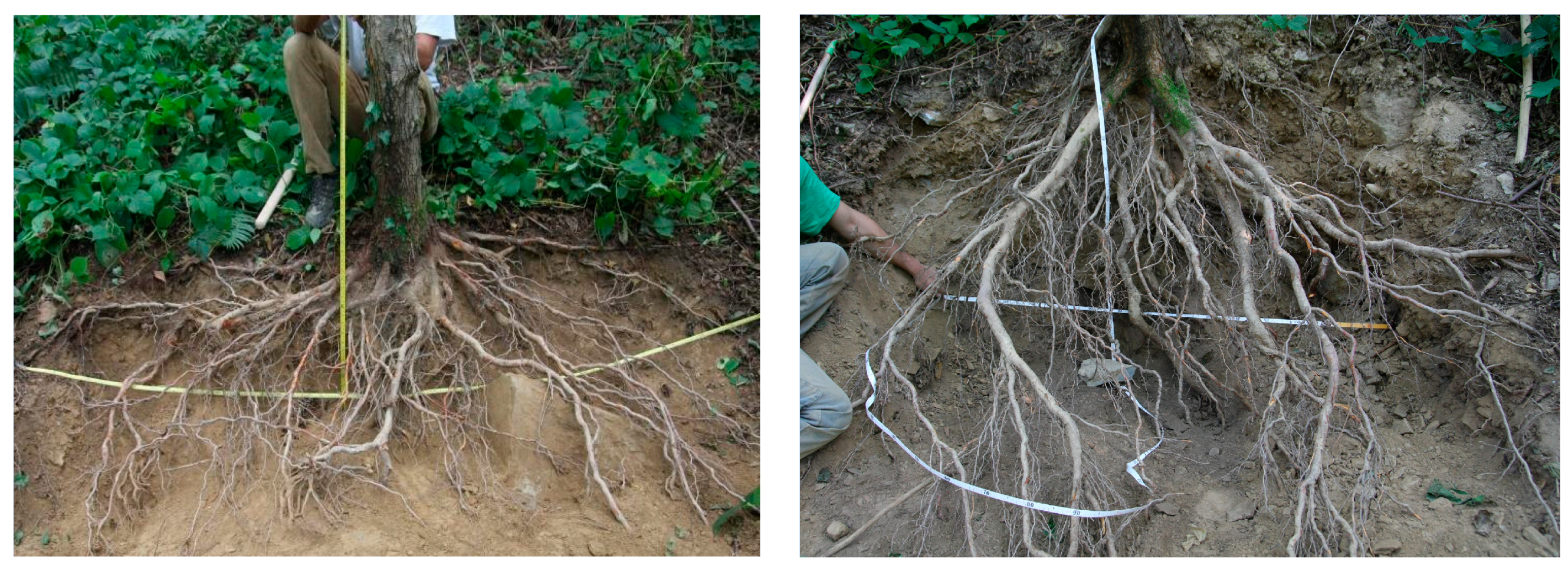 Sustainability 16 04022 g005