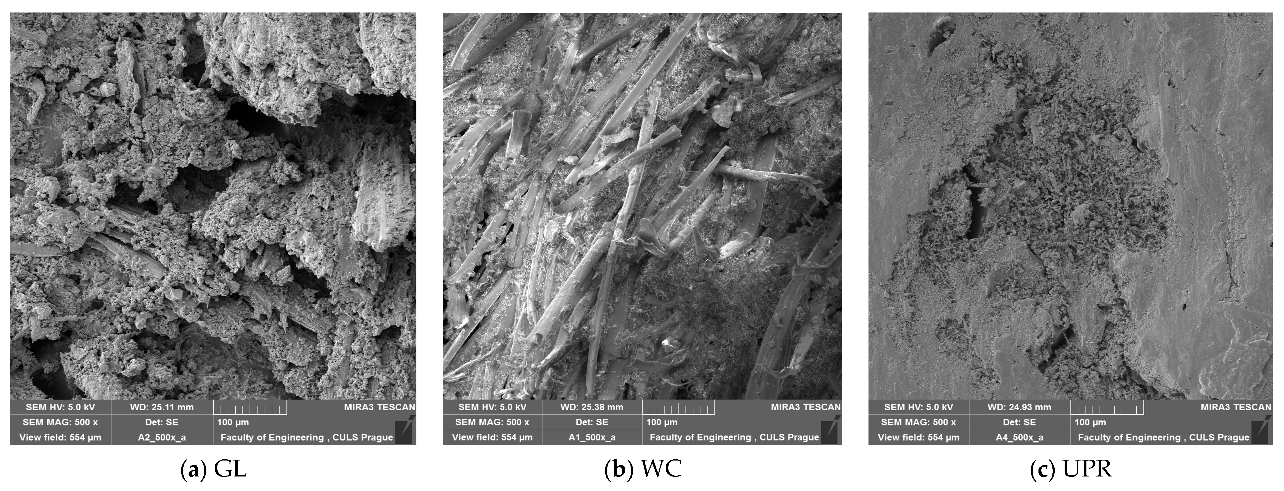 Sustainability 16 04036 g006
