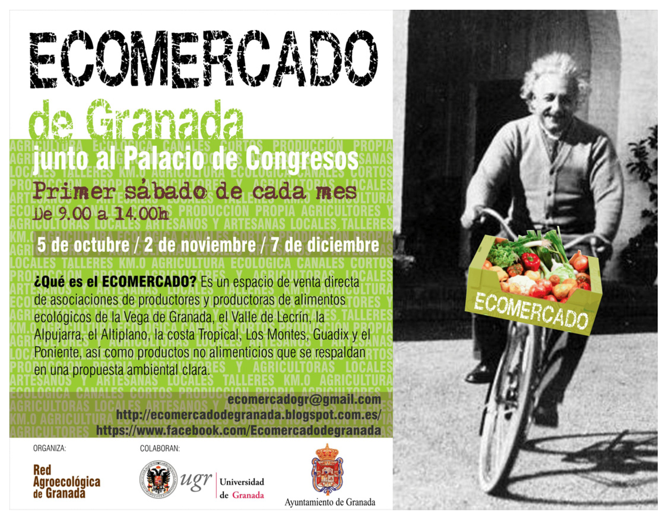 Sustainability 16 04050 g002