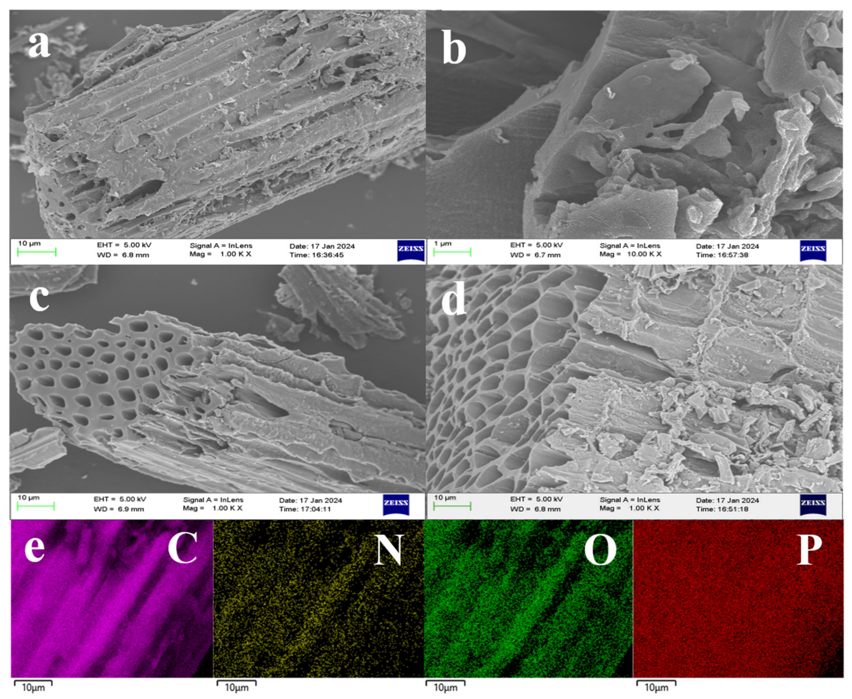 Sustainability 16 04120 g006