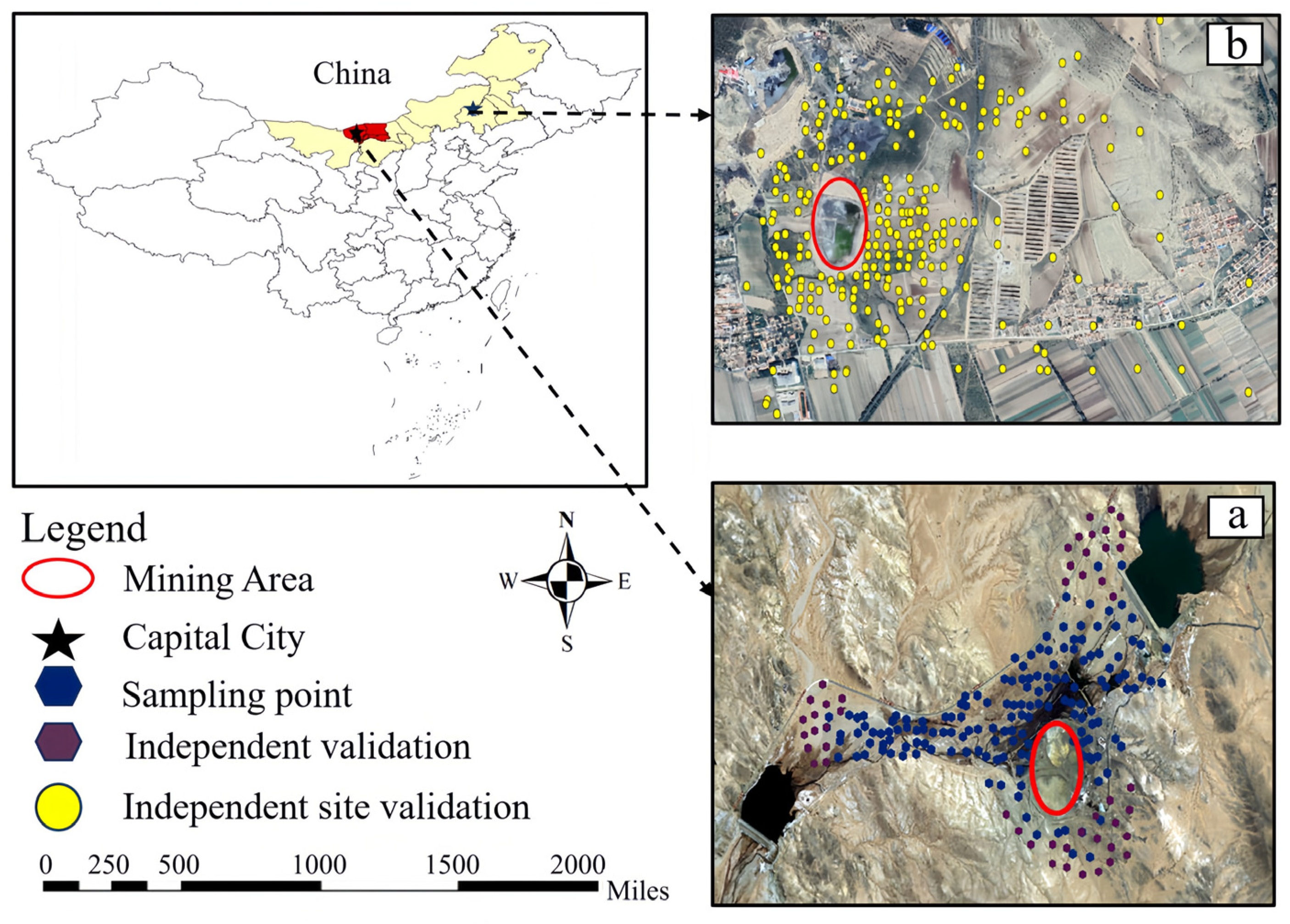 Sustainability 16 04153 g001