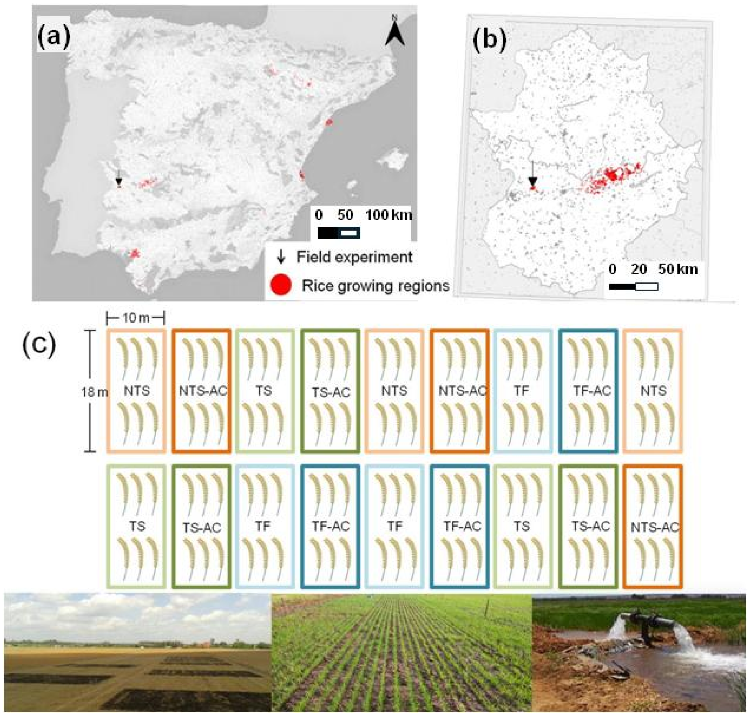 Sustainability 16 04157 g002