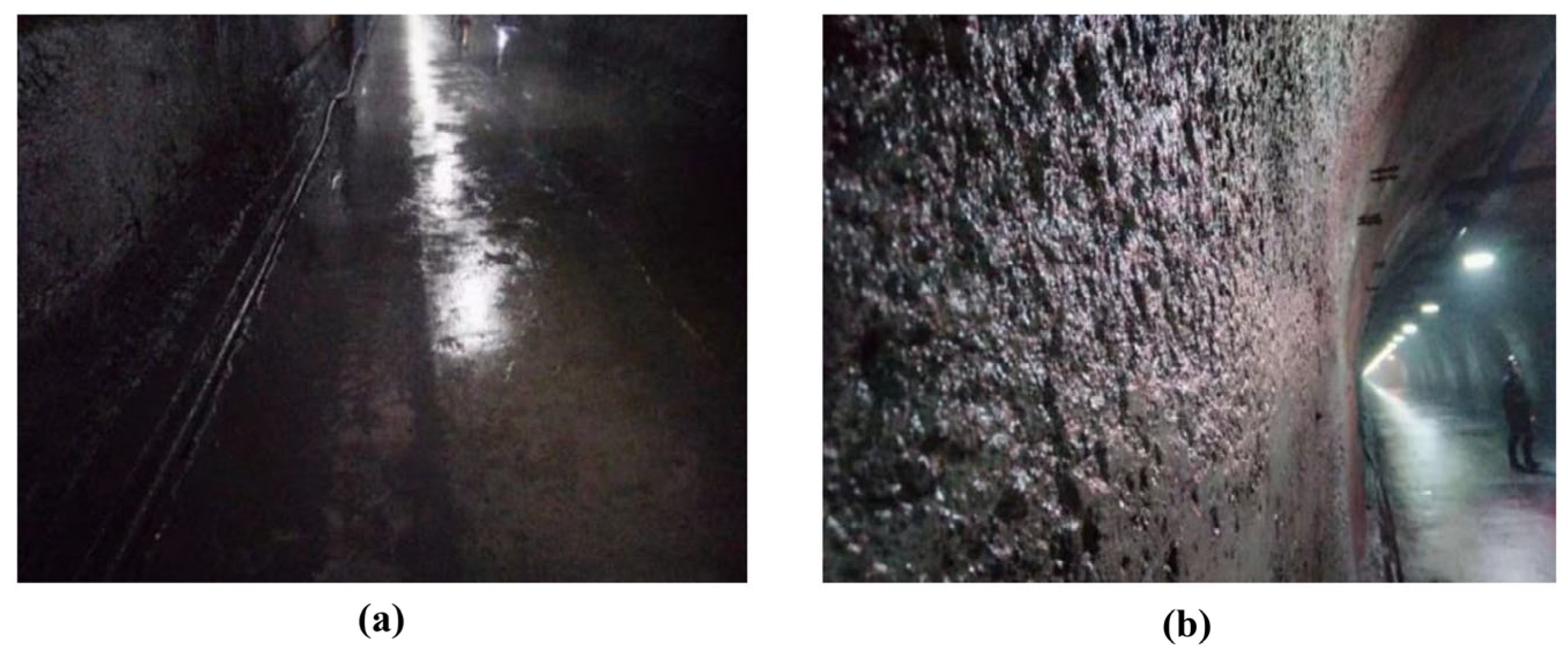 Sustainability 16 04192 g006