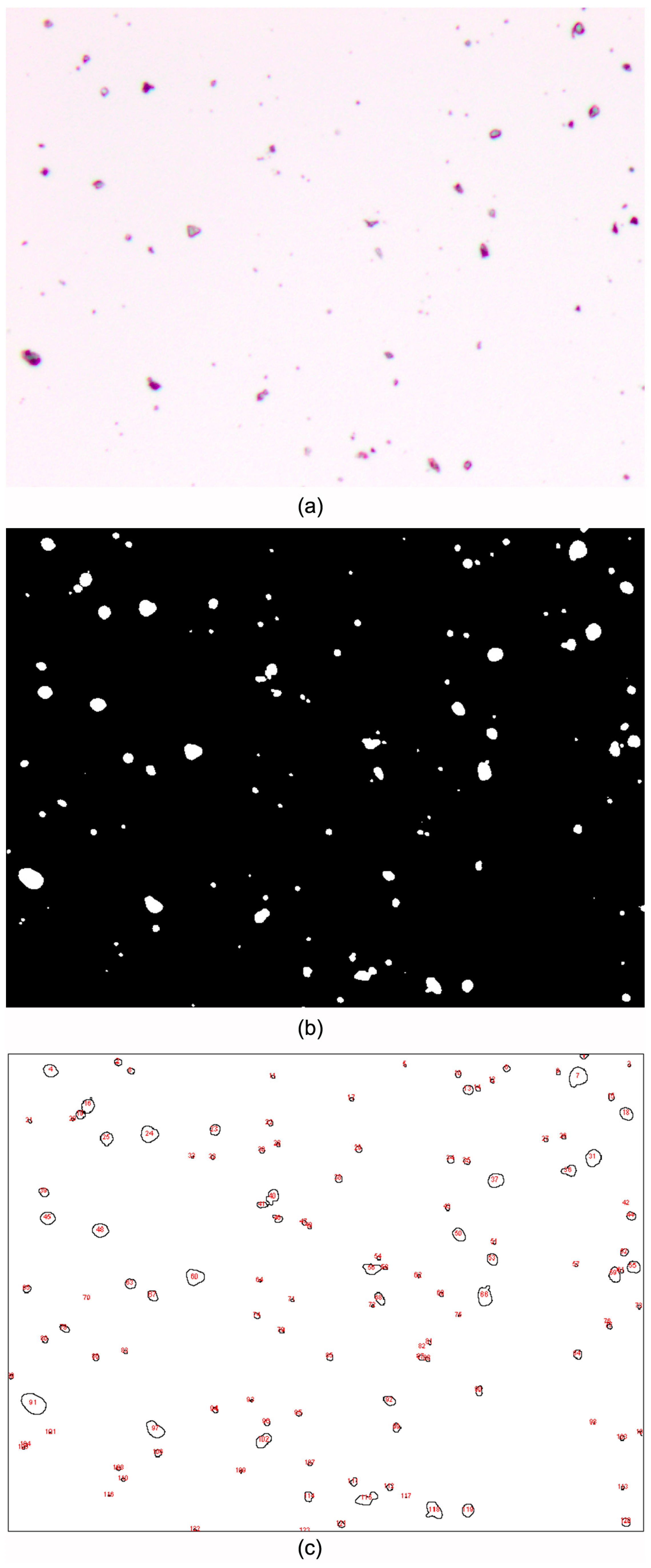 Sustainability 16 04257 g012