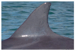 Sustainability 16 04260 i001