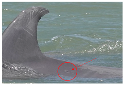 Sustainability 16 04260 i004