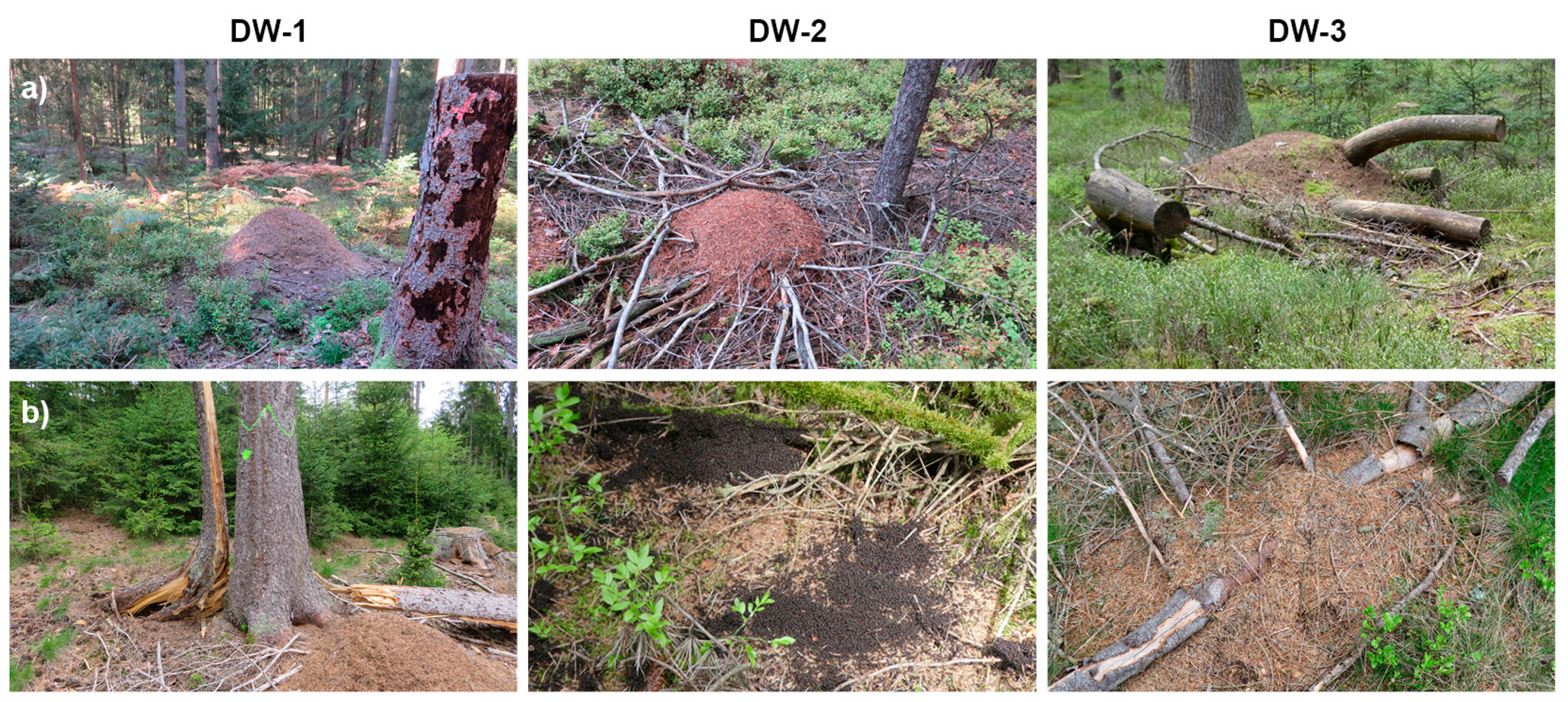 Sustainability 16 04265 g002