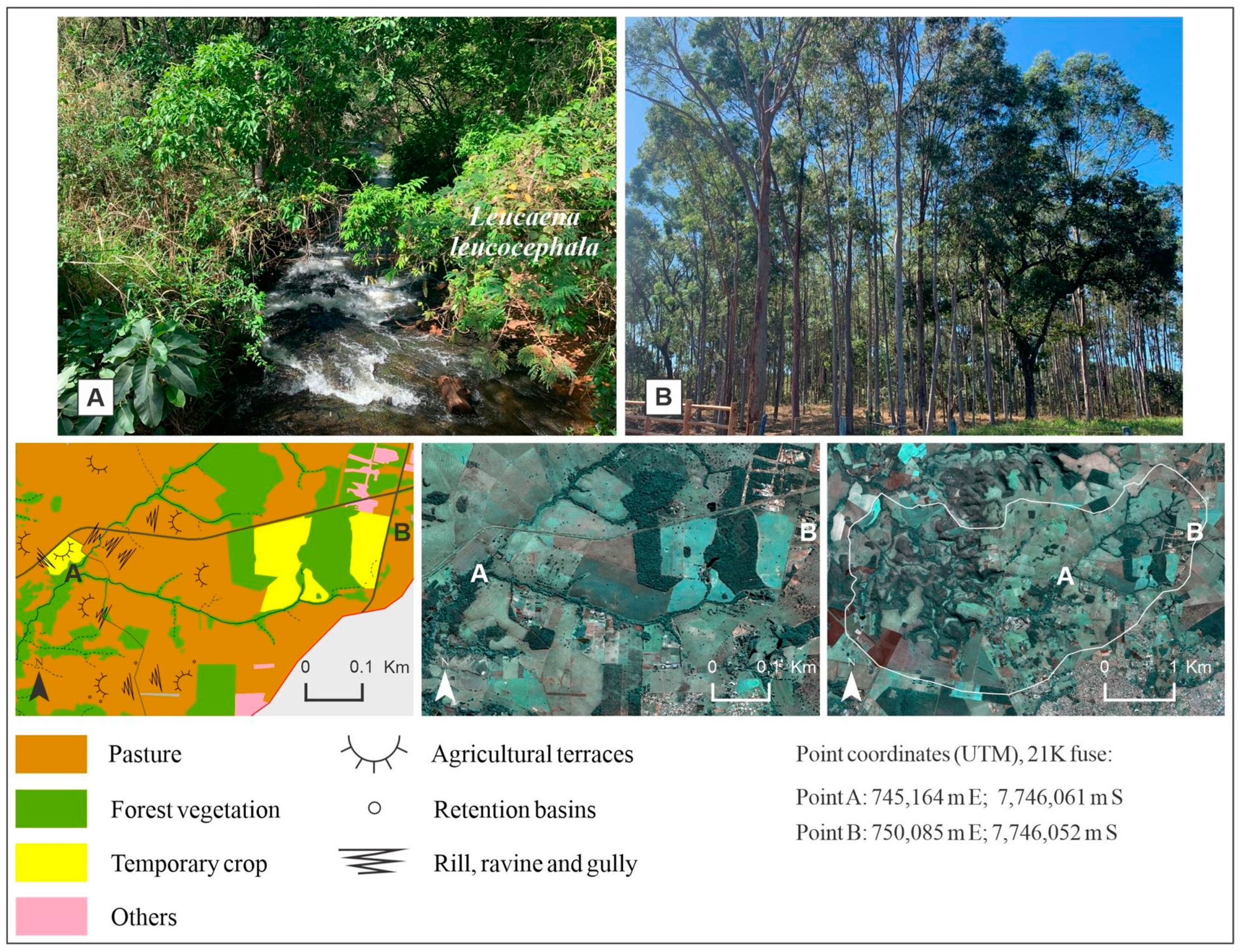 Sustainability 16 04266 g005