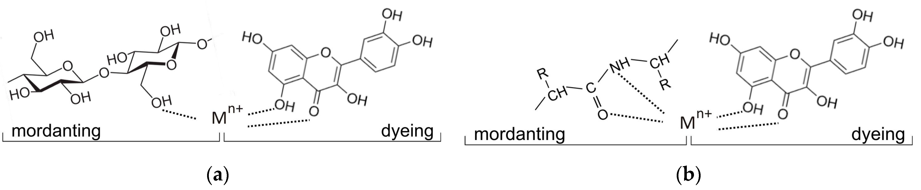 Sustainability 16 04361 g001