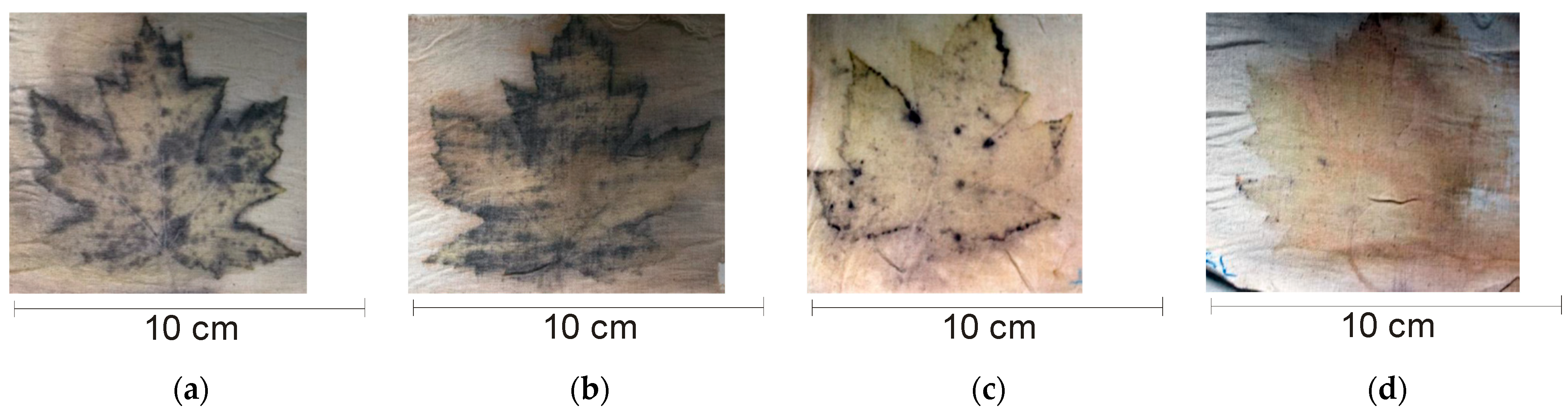 Sustainability 16 04361 g003